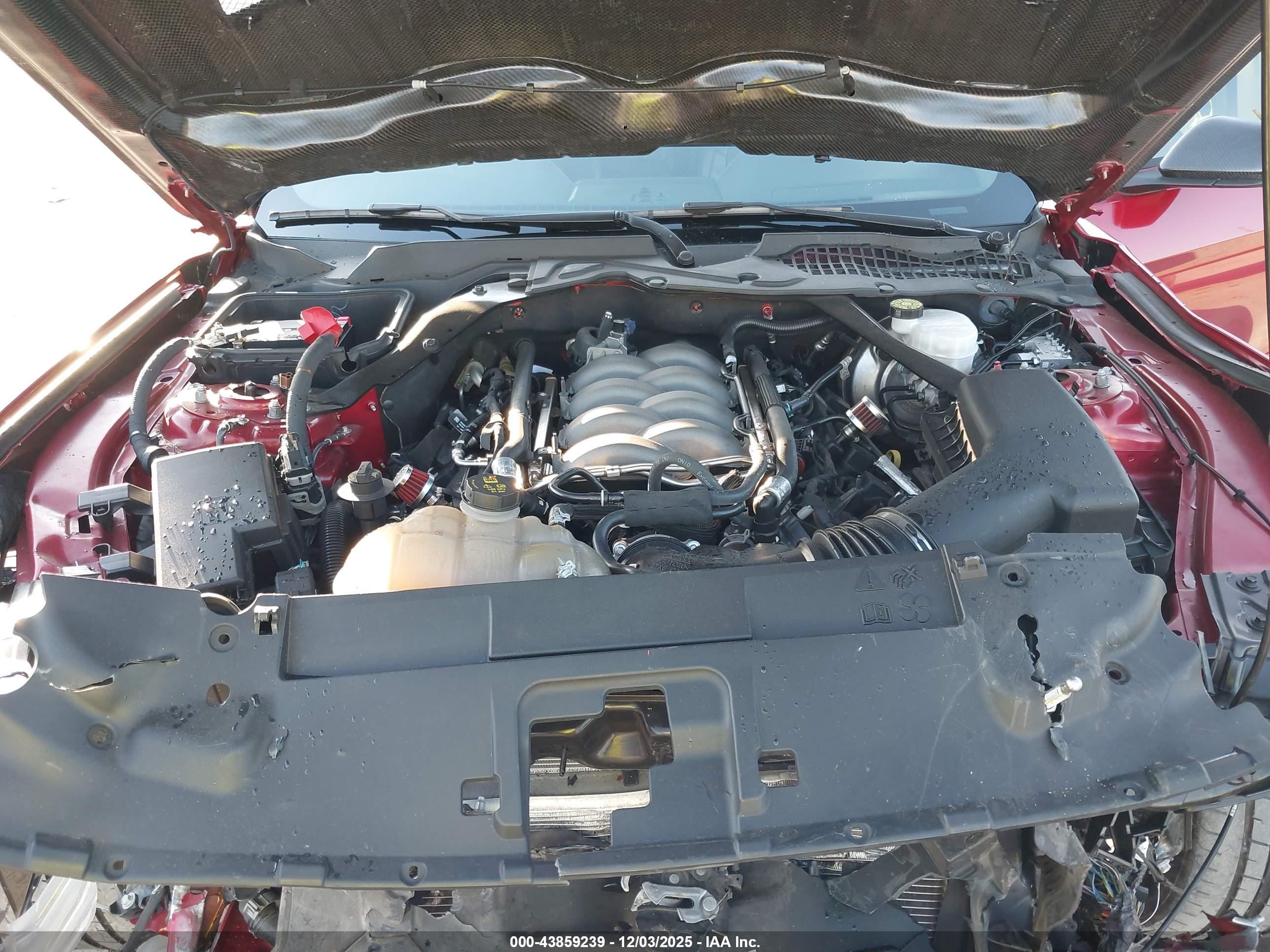 FORD MUSTANG image 10