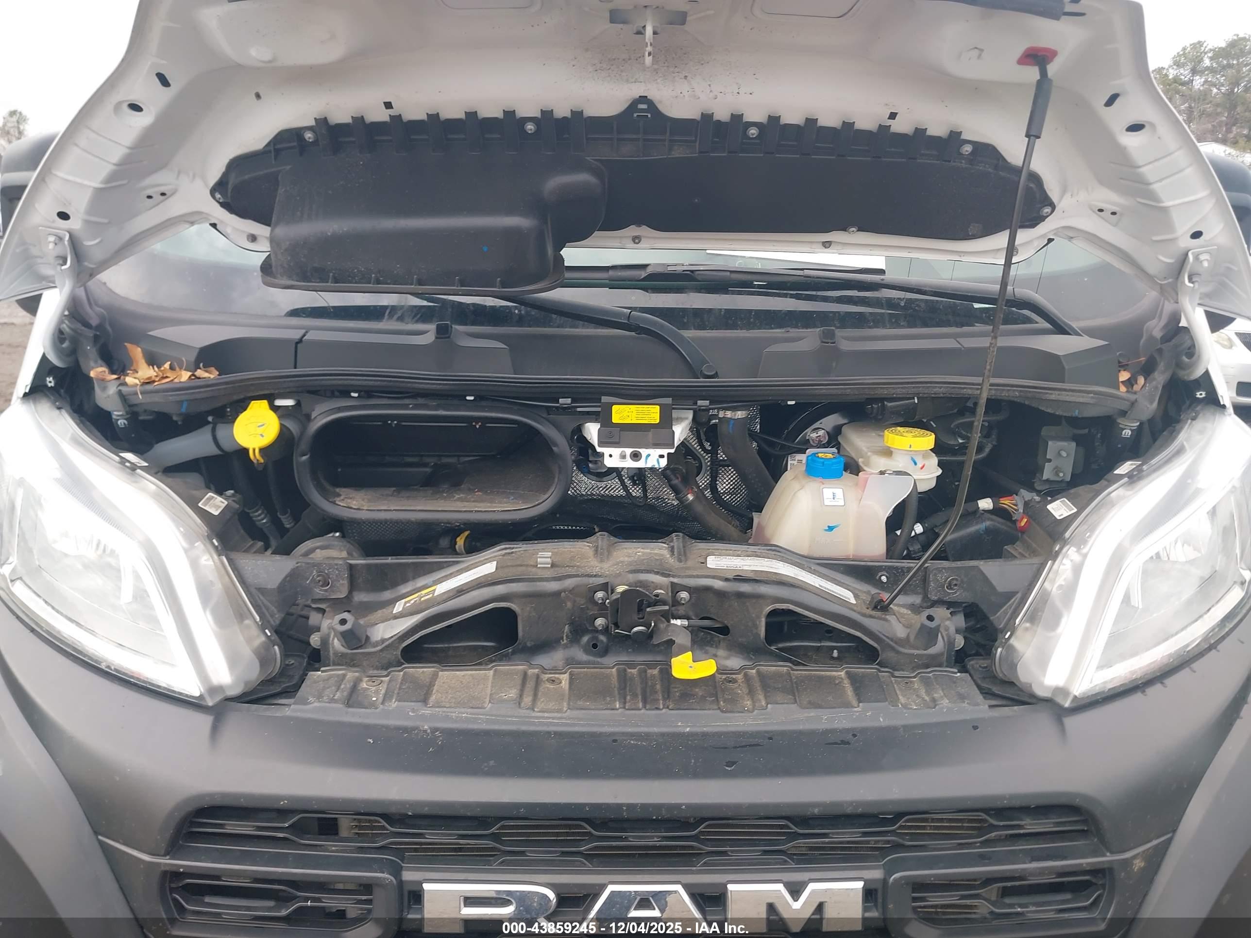 RAM PROMASTER image 10