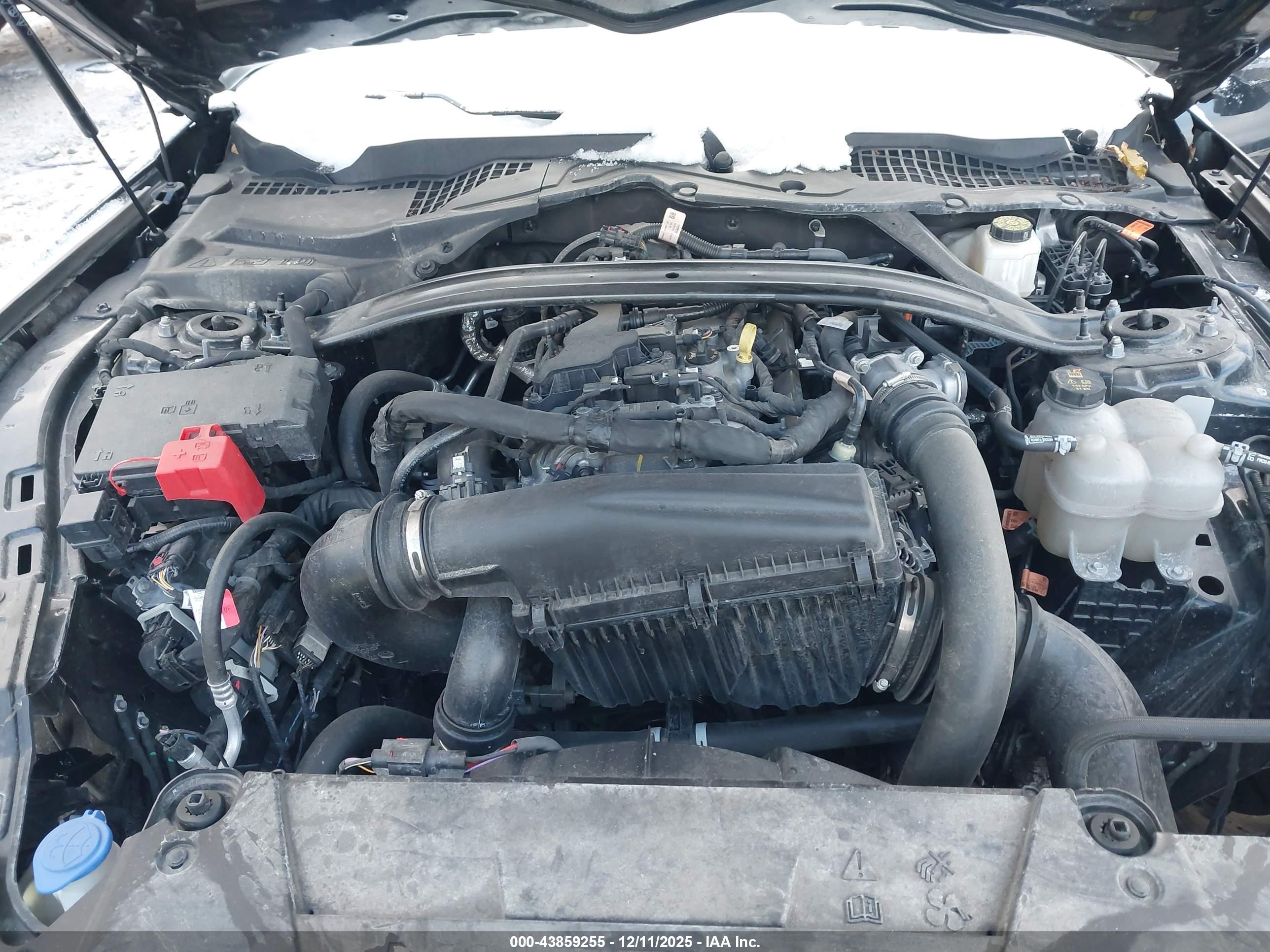 FORD MUSTANG image 10