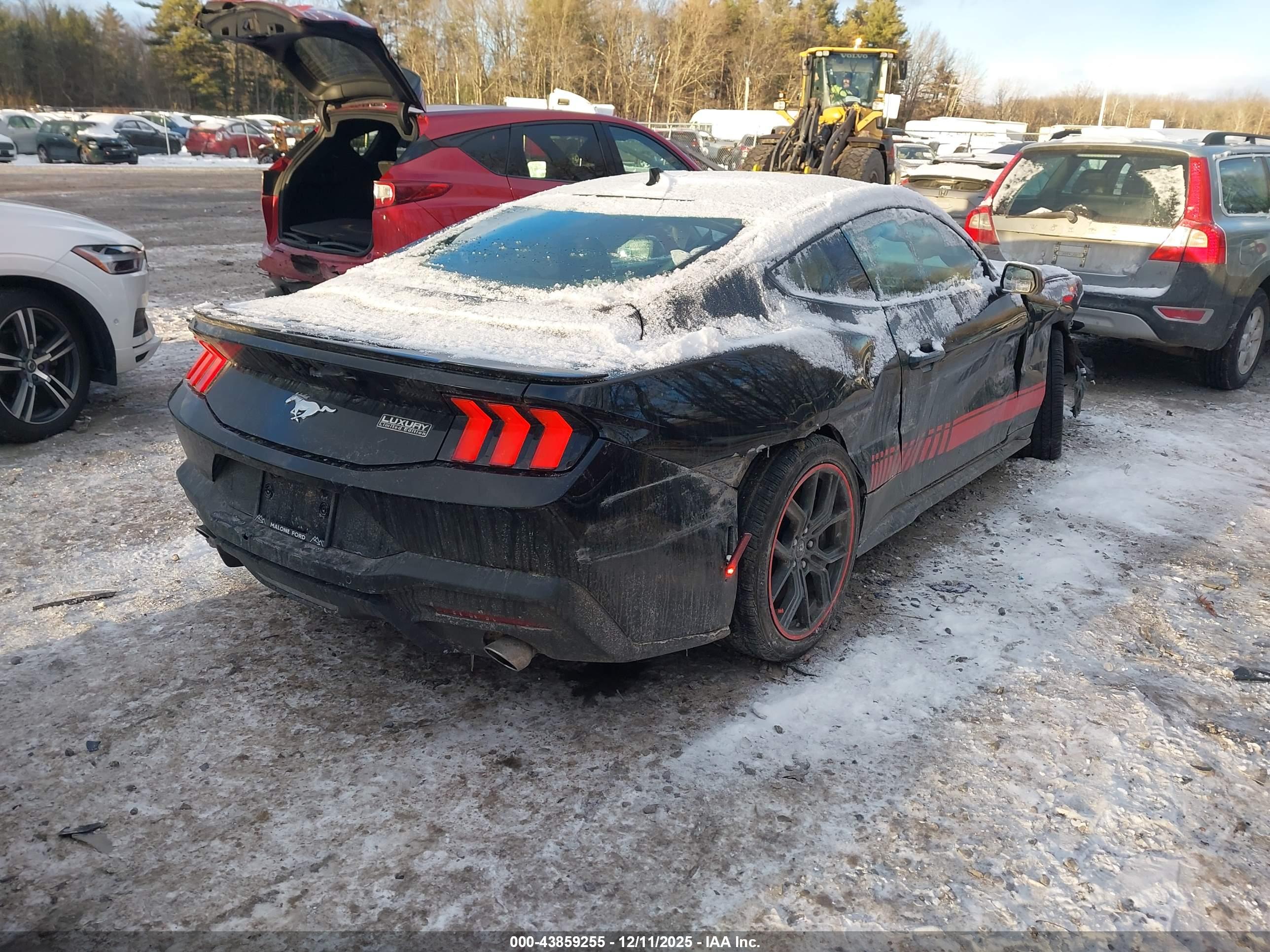 FORD MUSTANG image 4