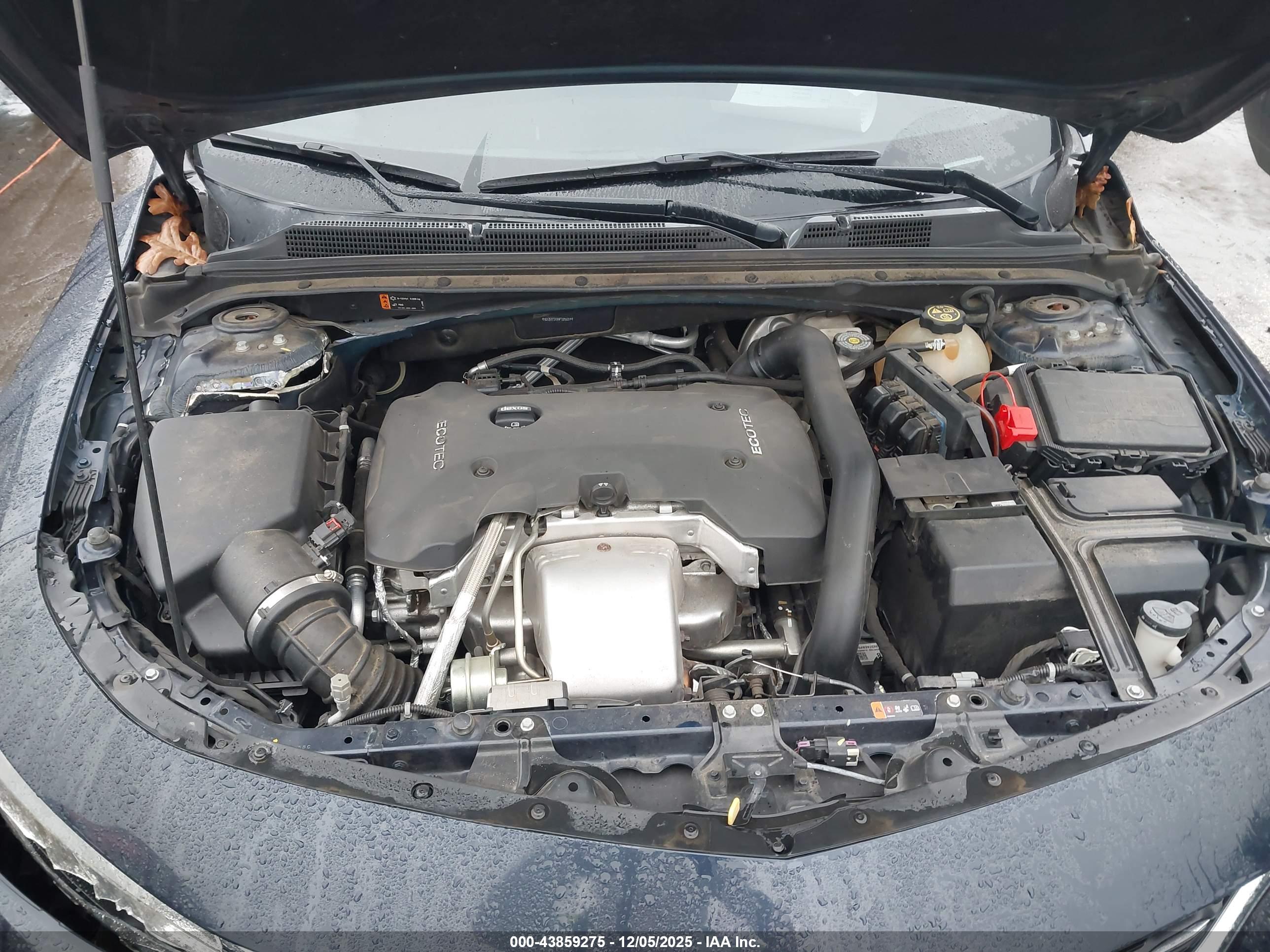 CHEVROLET MALIBU image 10