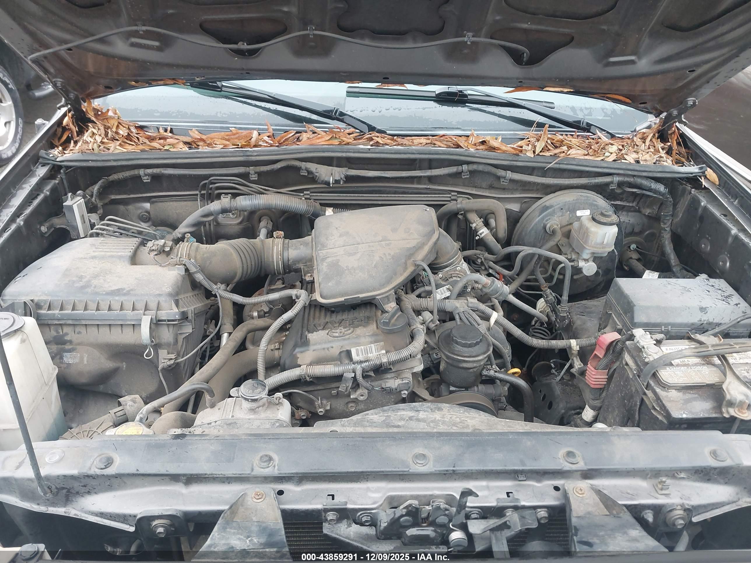 TOYOTA TACOMA image 10