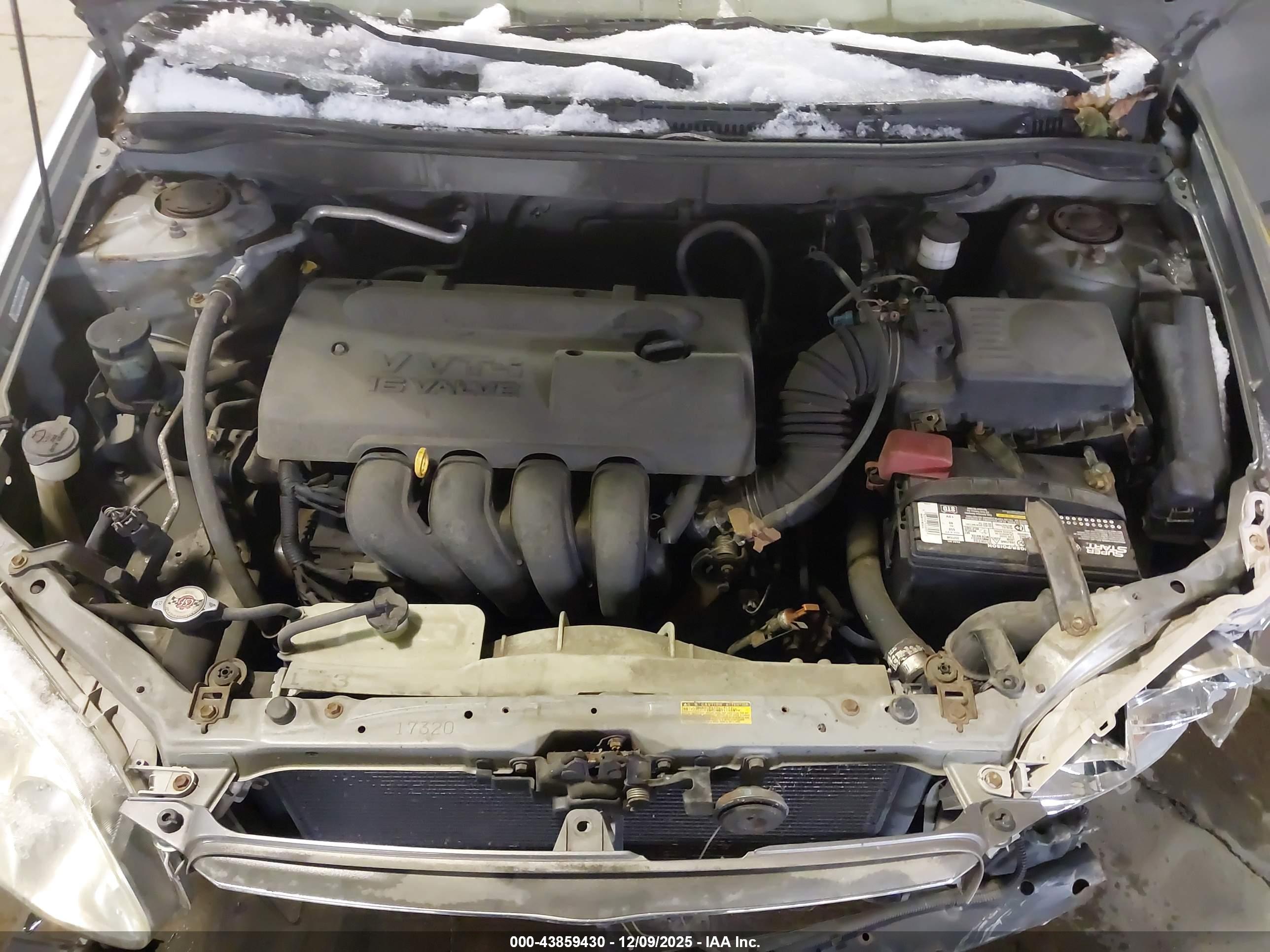 TOYOTA COROLLA image 10