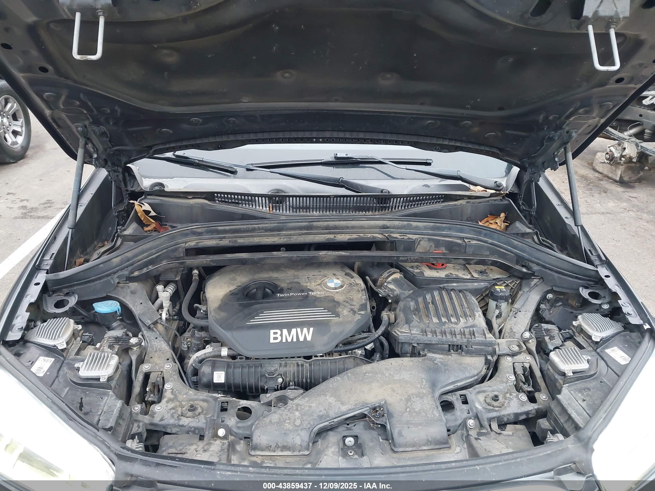 BMW X1 image 10