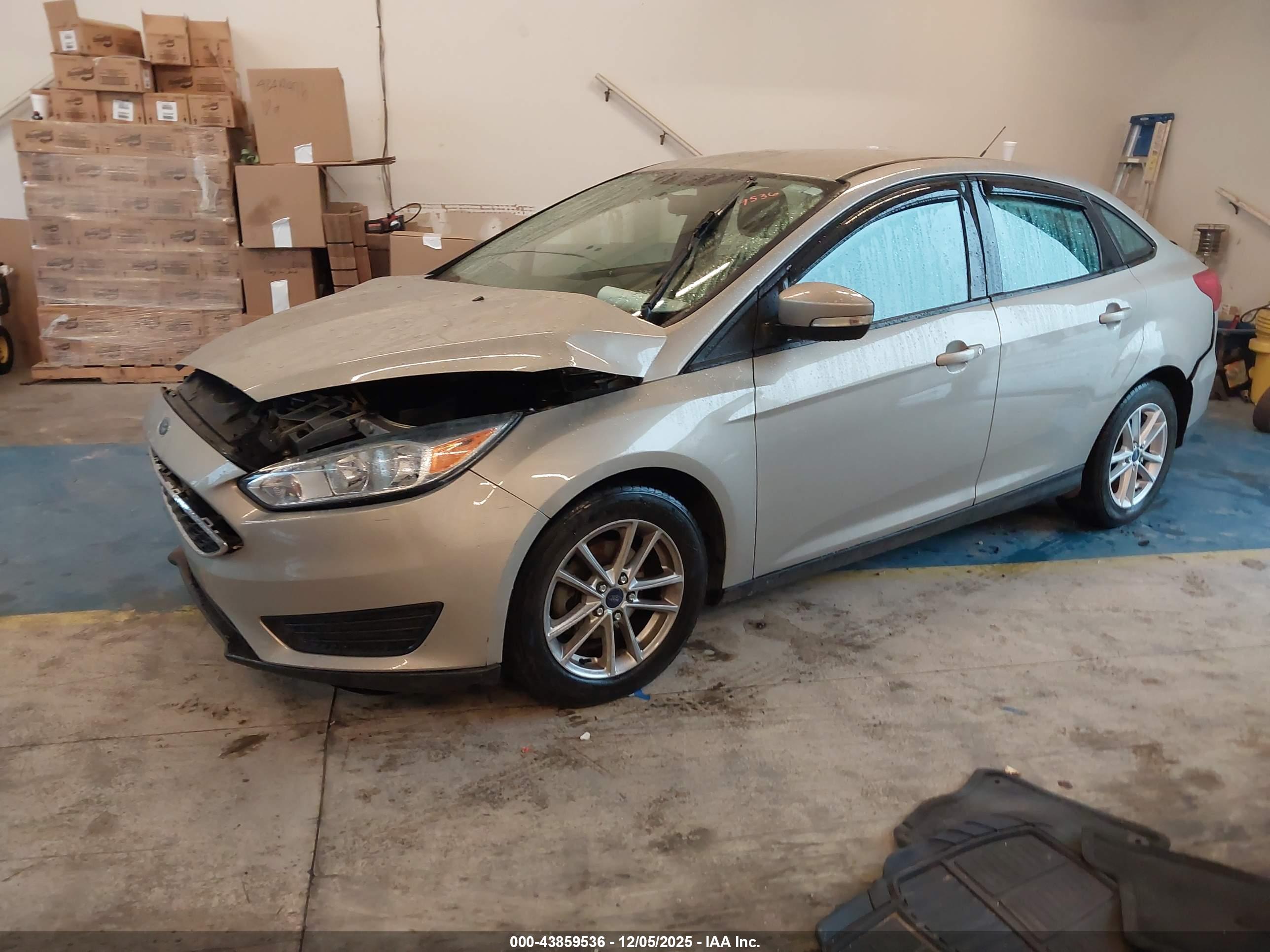 FORD FOCUS image 2