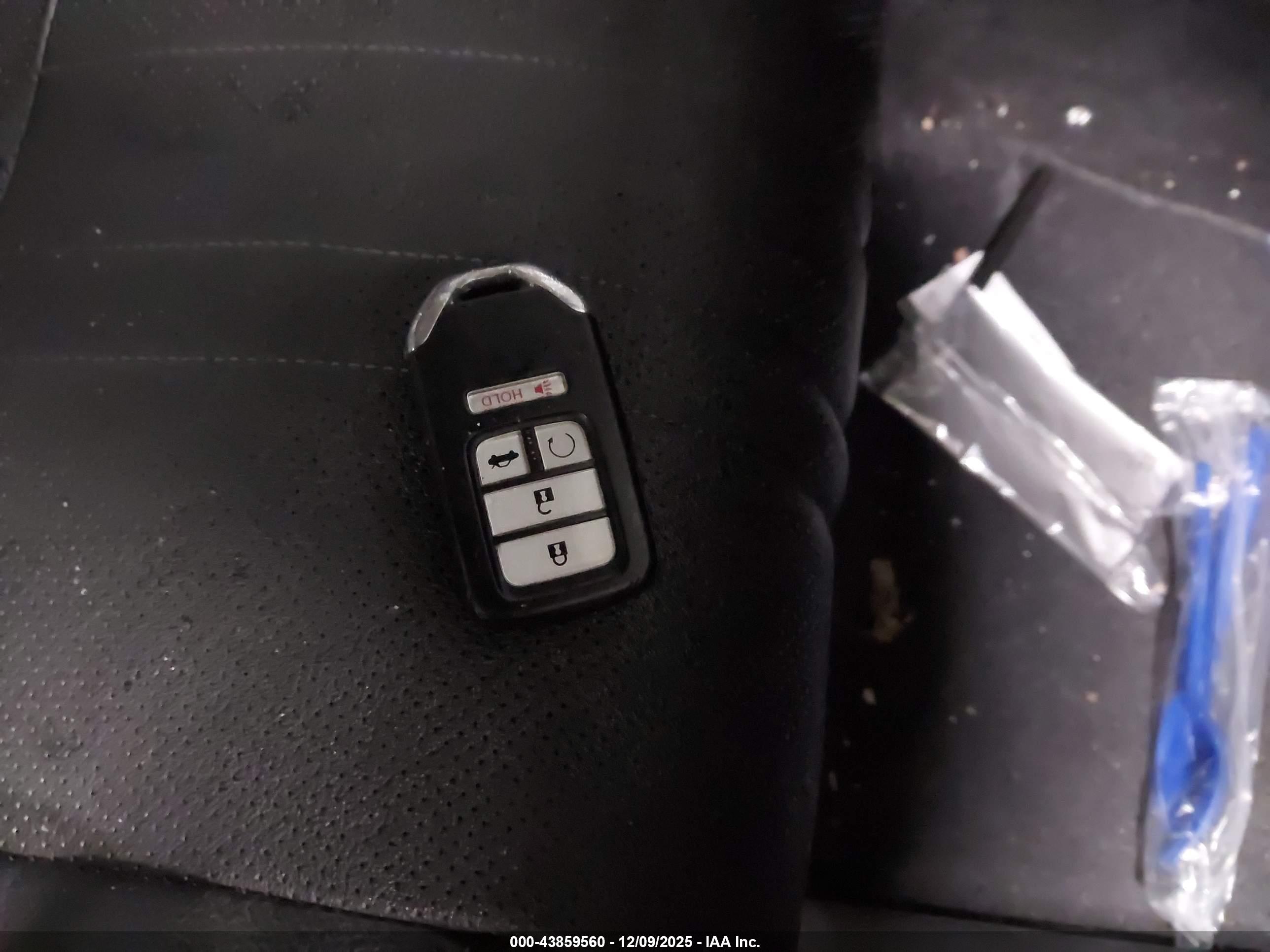 HONDA ACCORD image 11