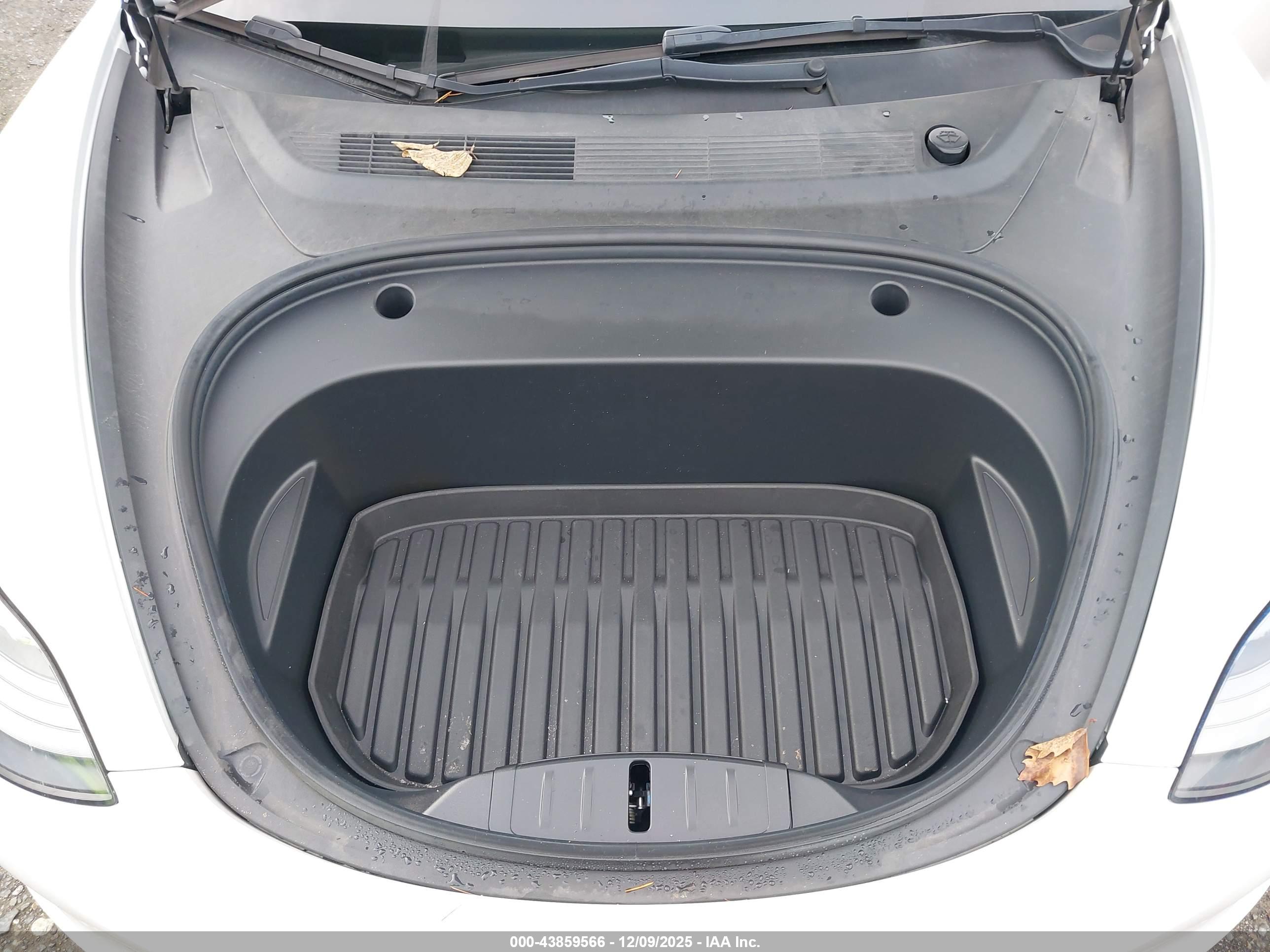 TESLA MODEL image 10