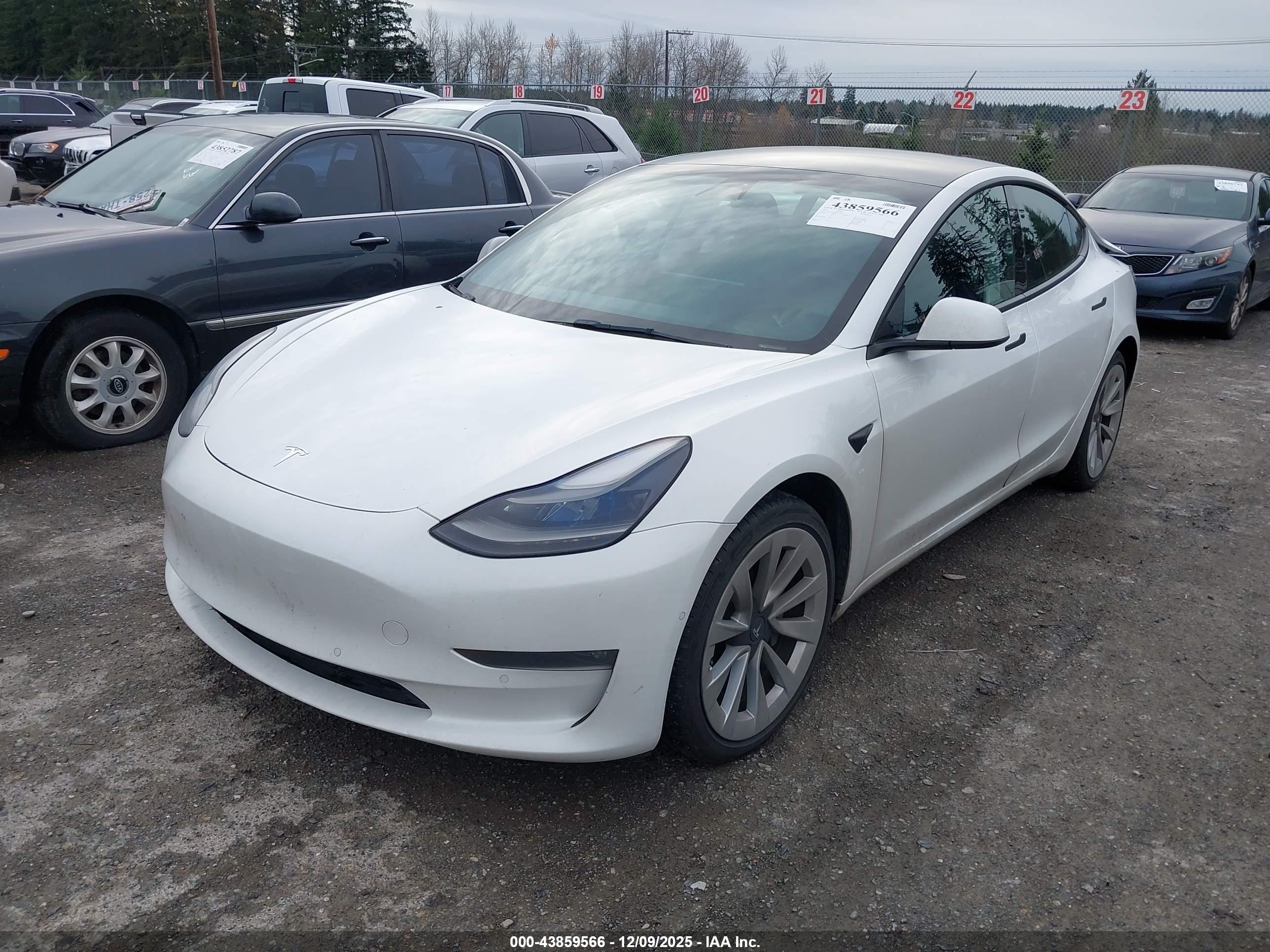 TESLA MODEL image 2
