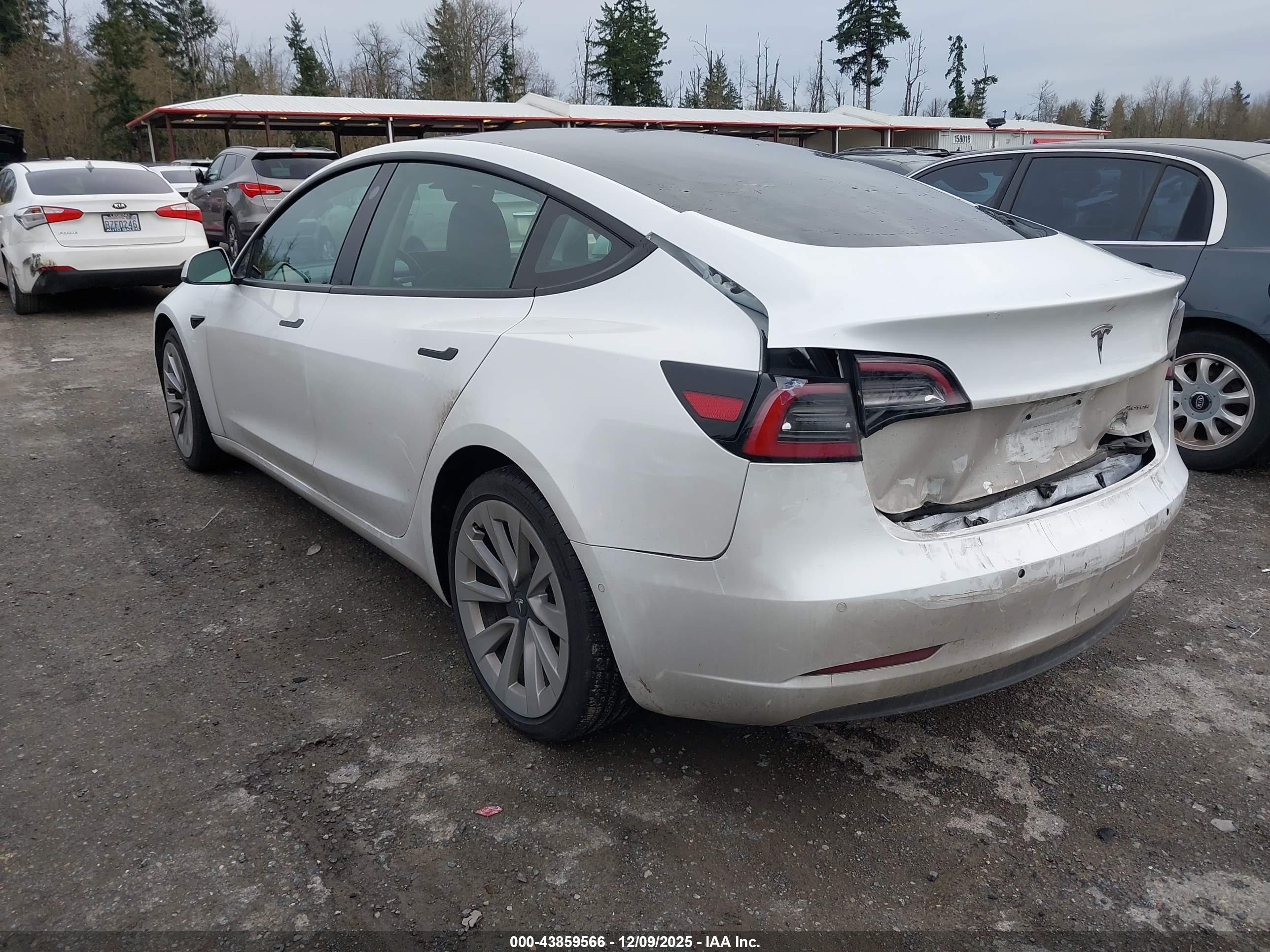TESLA MODEL image 3