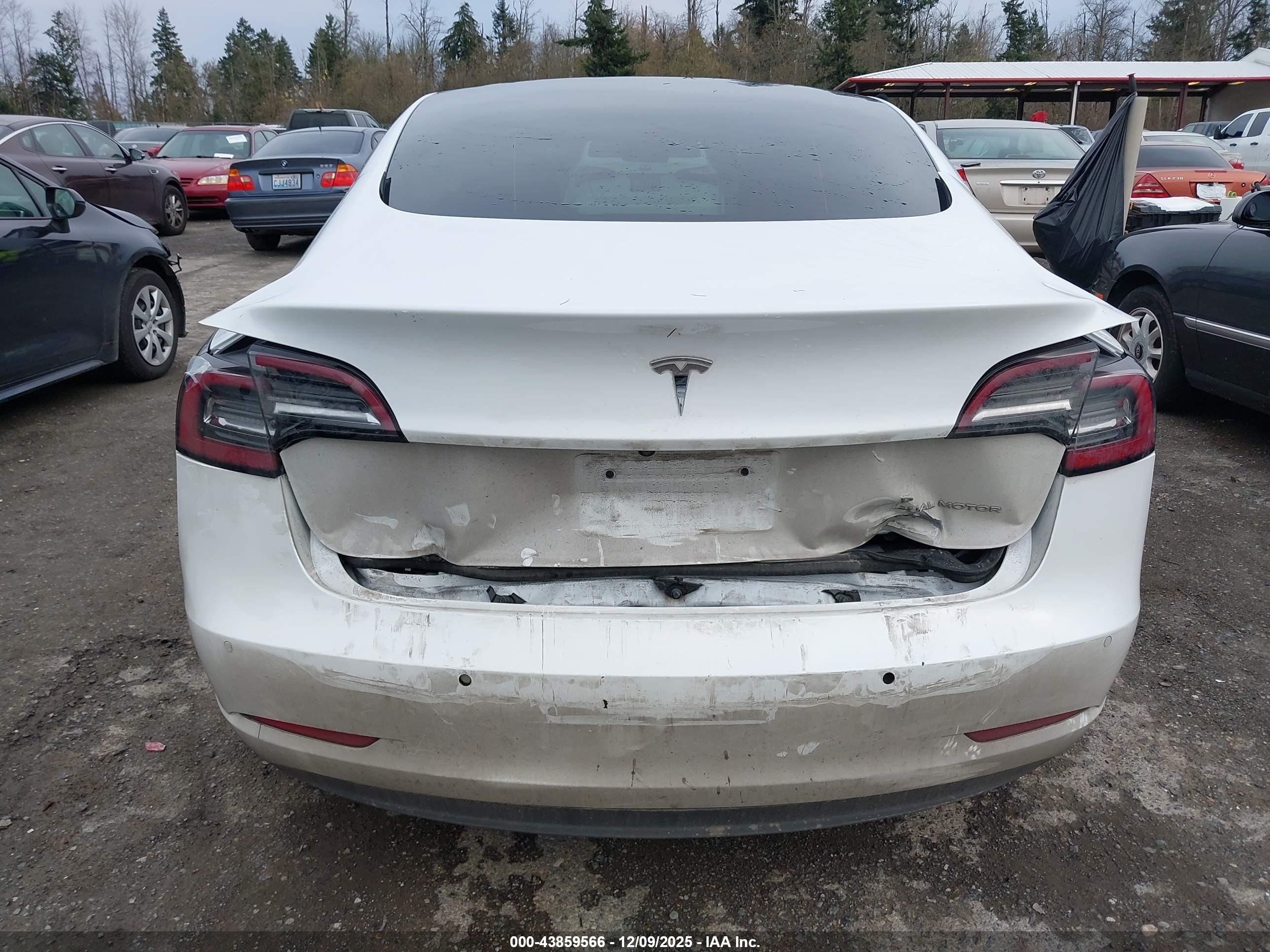 TESLA MODEL image 6