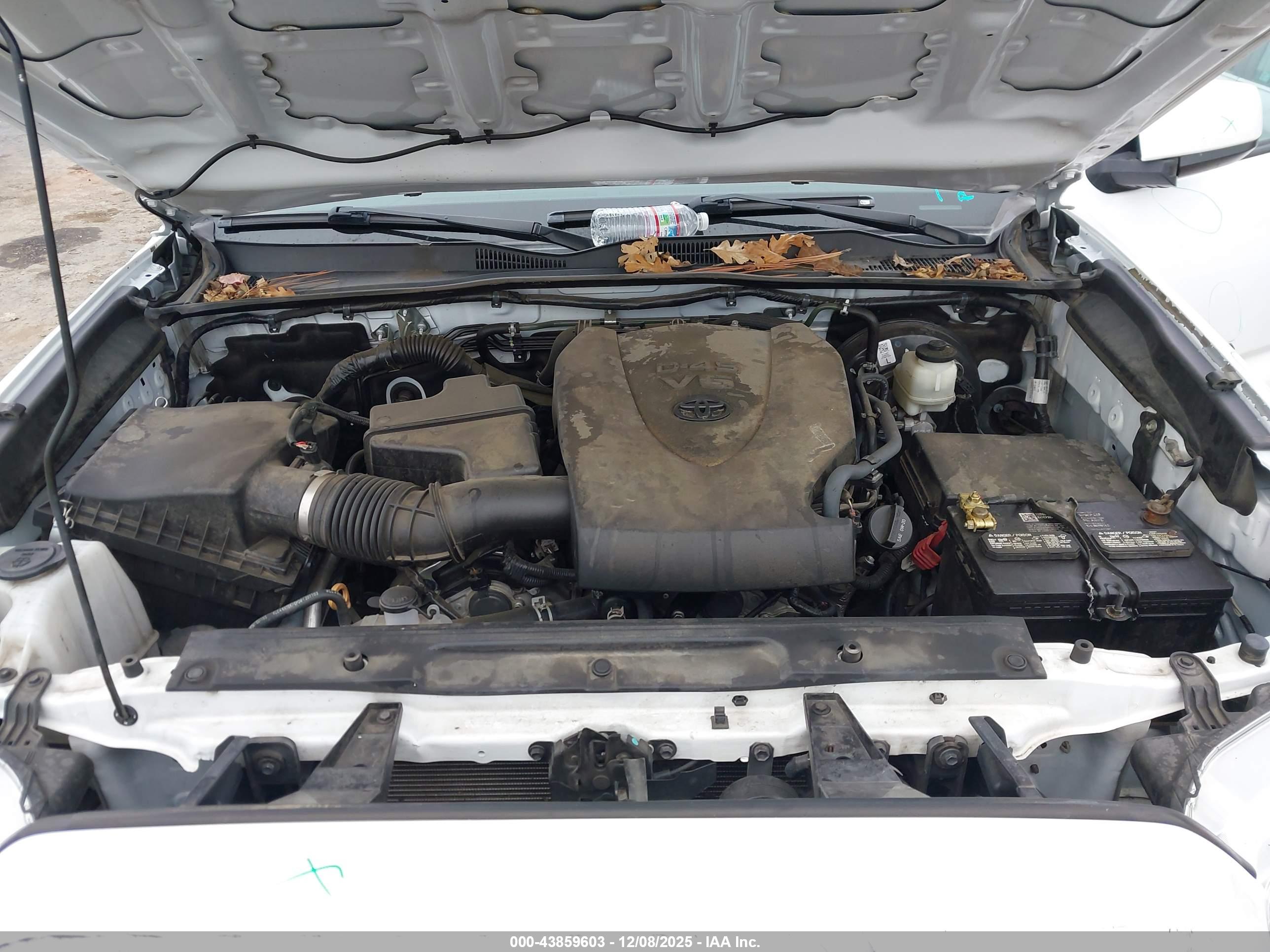 TOYOTA TACOMA image 10