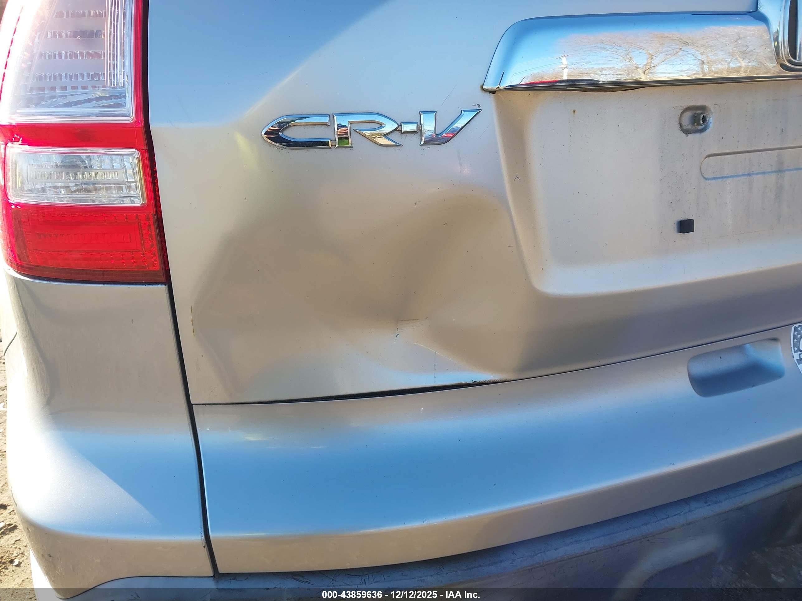 HONDA CR-V image 6