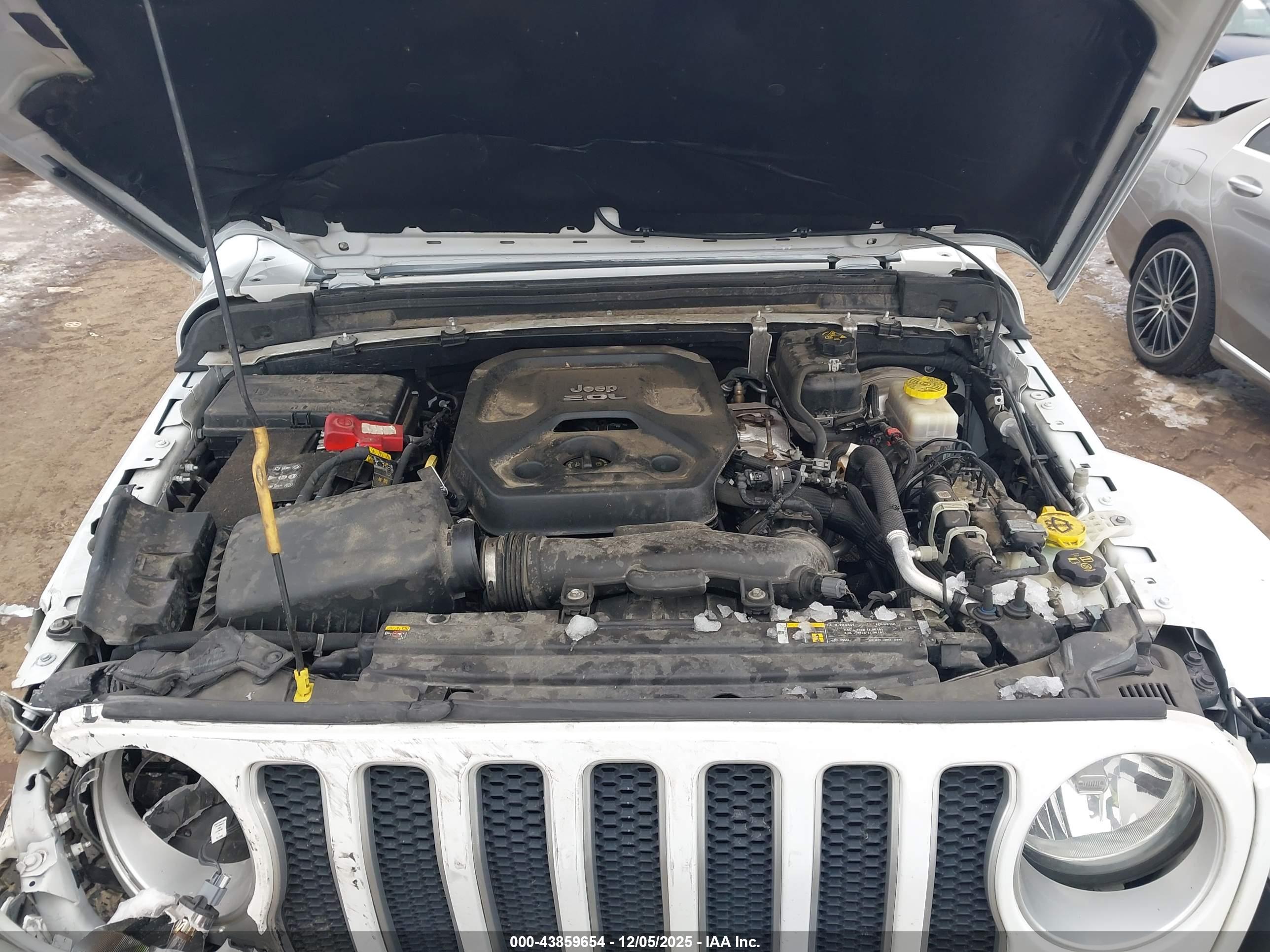 JEEP WRANGLER image 10