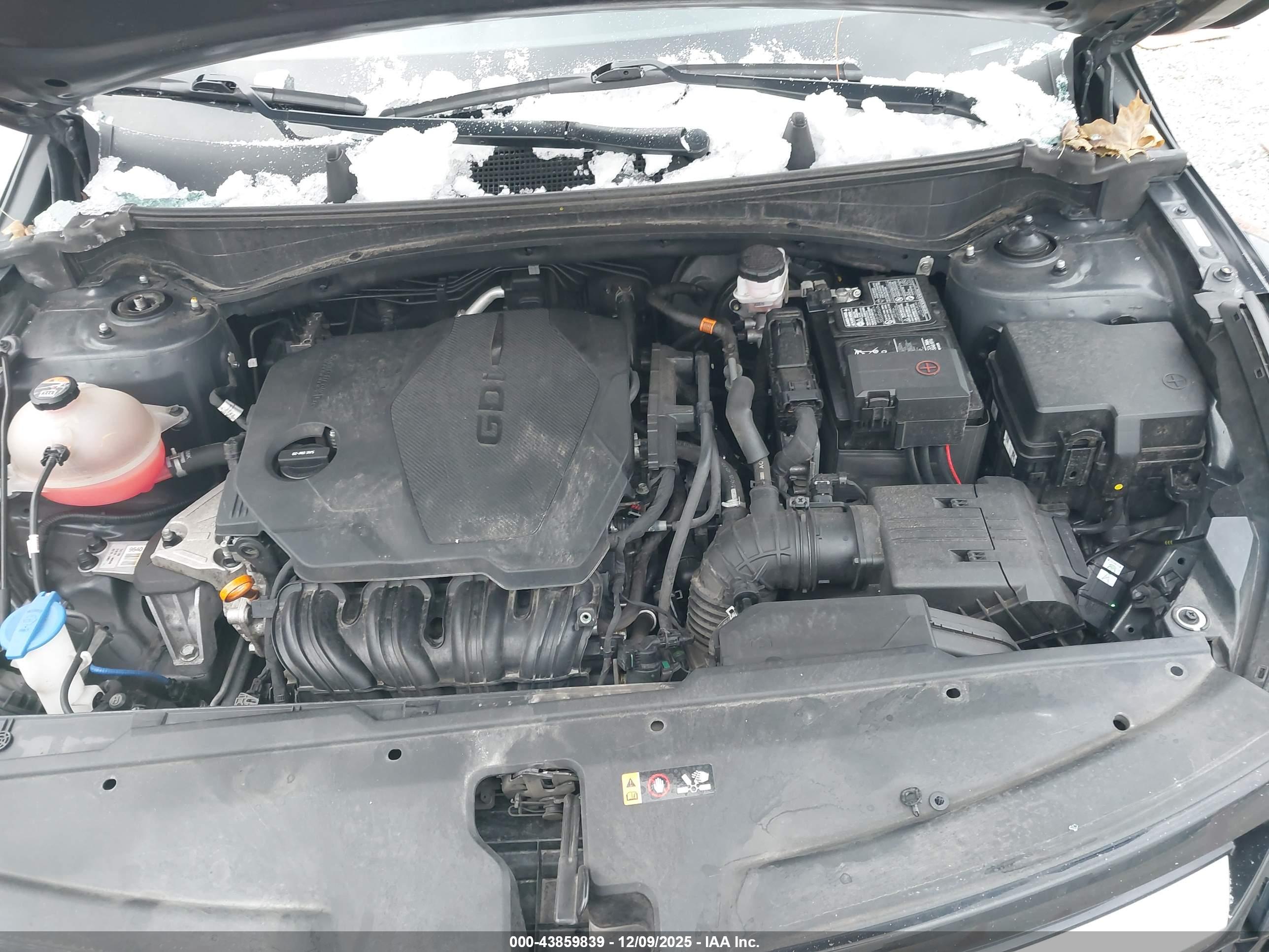 KIA SPORTAGE image 10