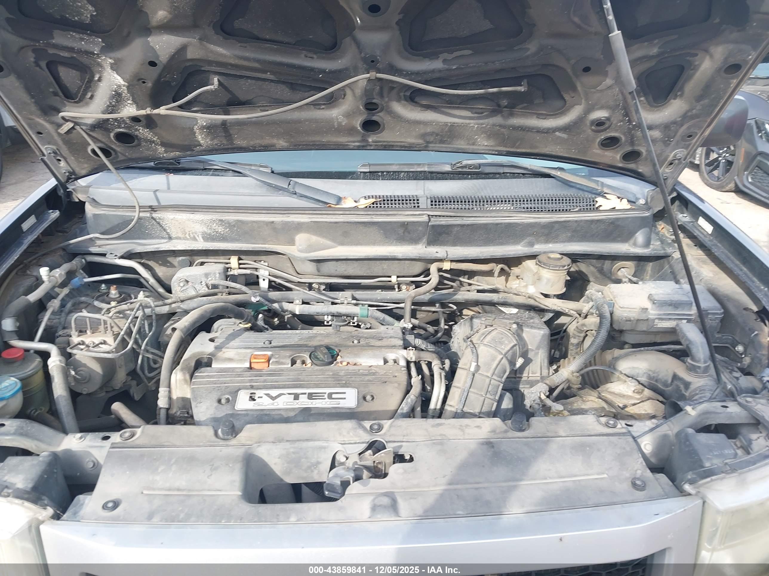 HONDA ELEMENT image 10