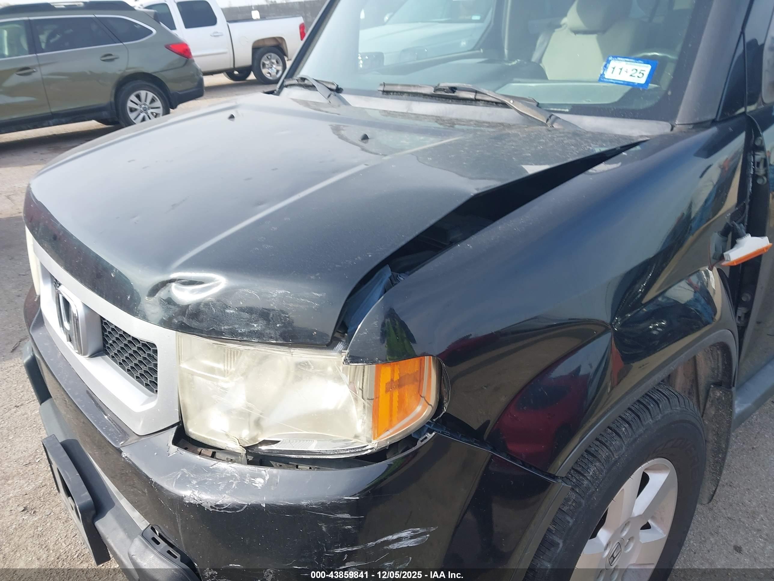 HONDA ELEMENT image 6