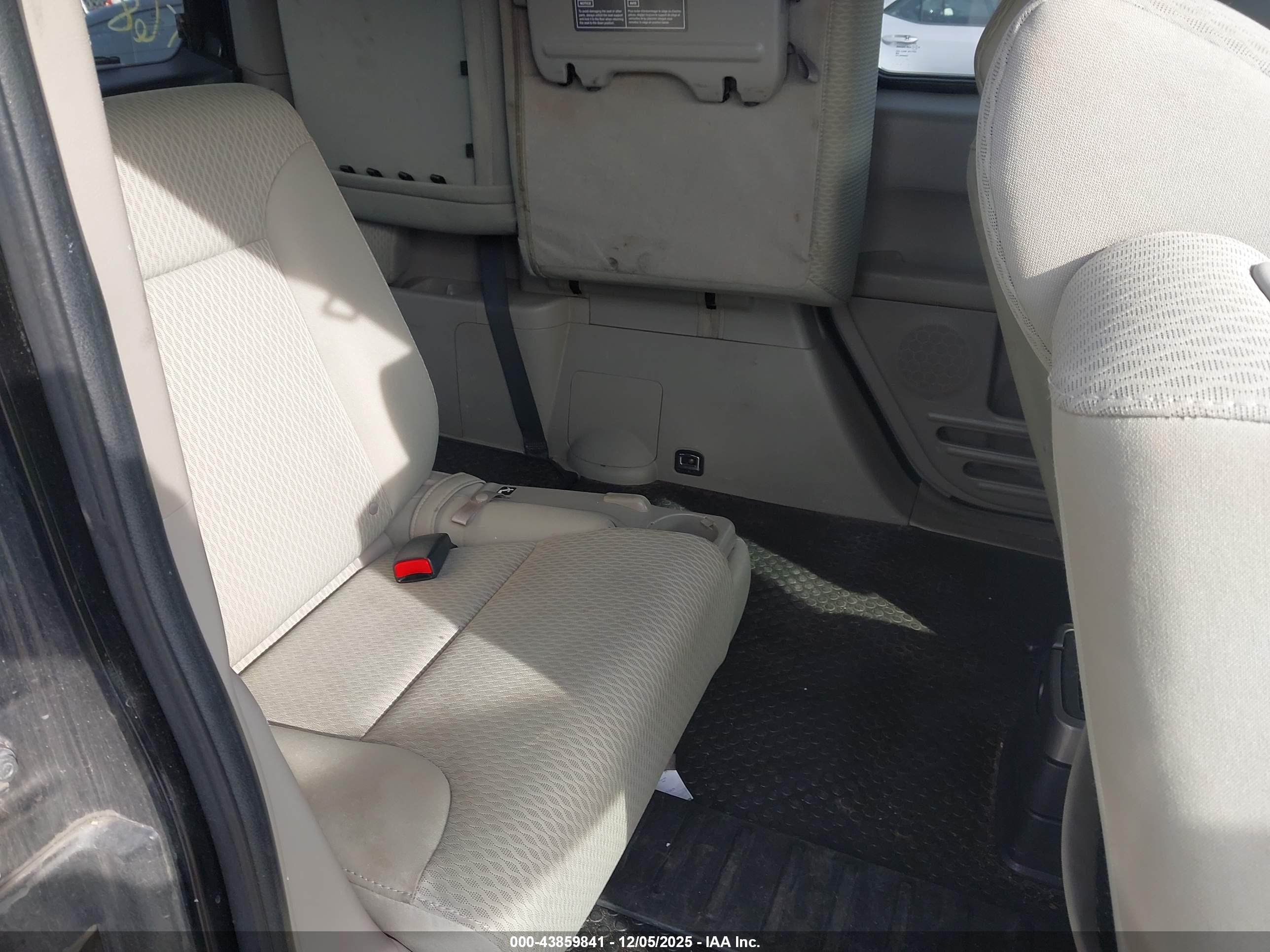 HONDA ELEMENT image 8