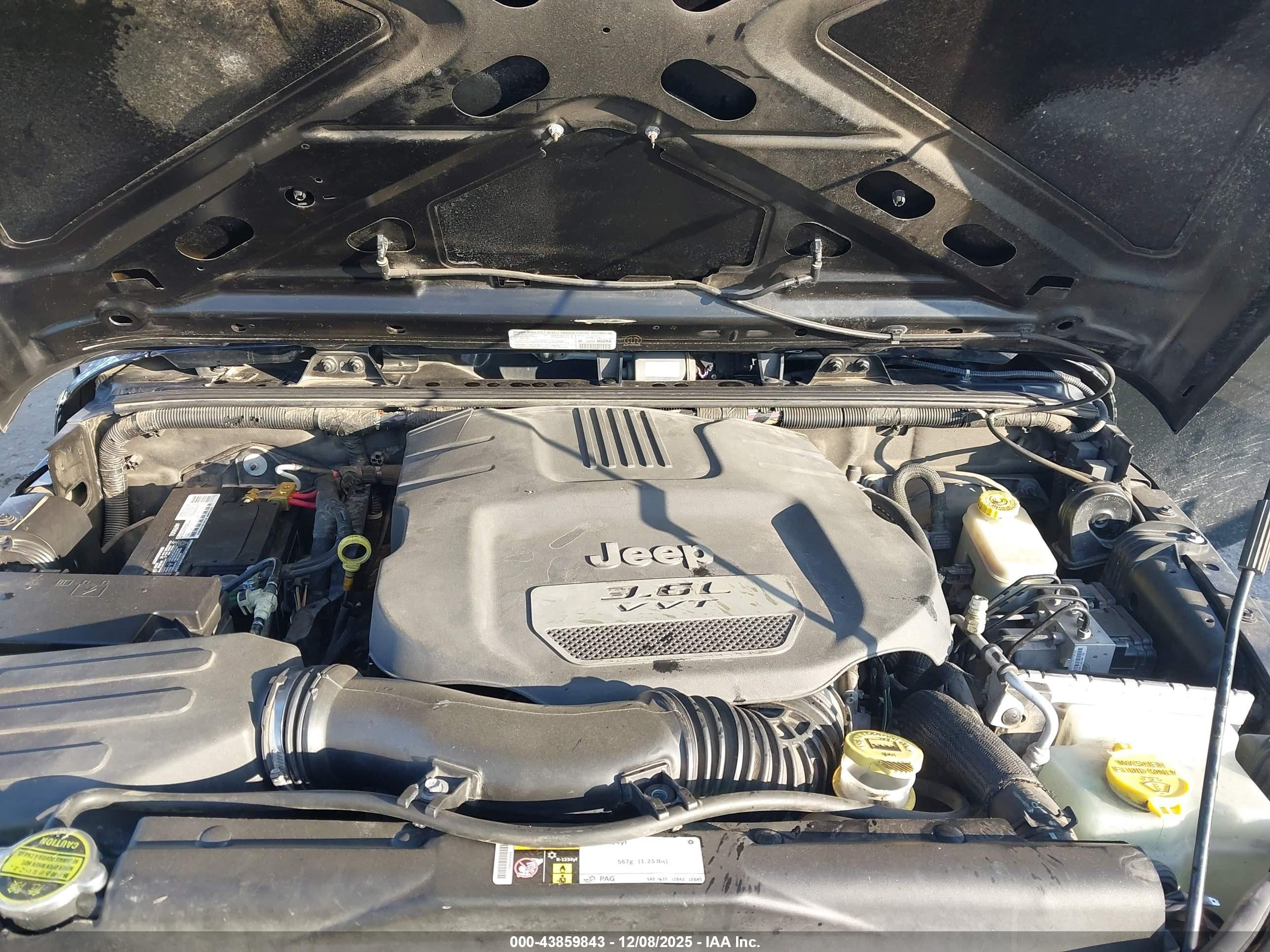 JEEP WRANGLER image 10