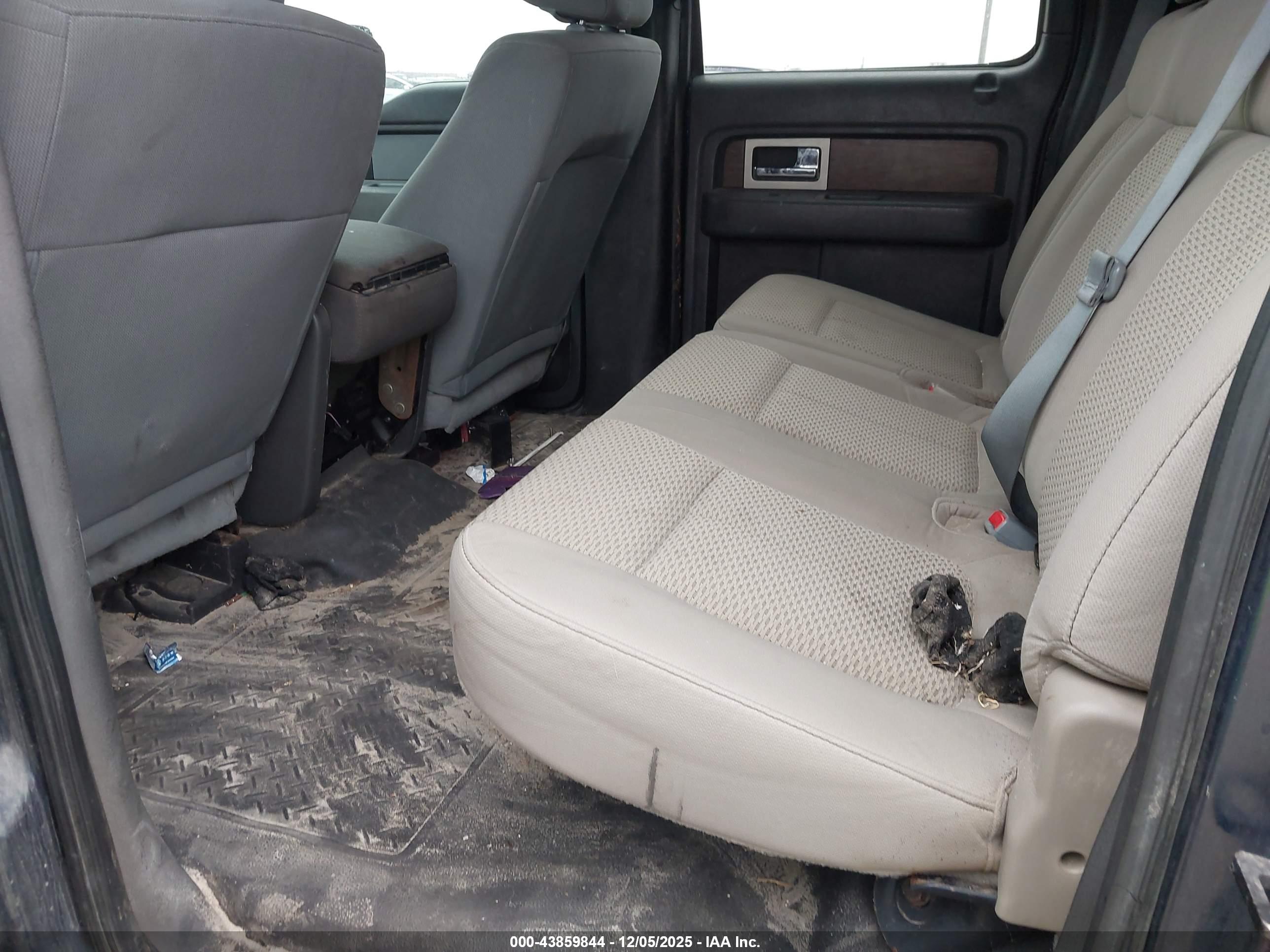 FORD F-150 image 8