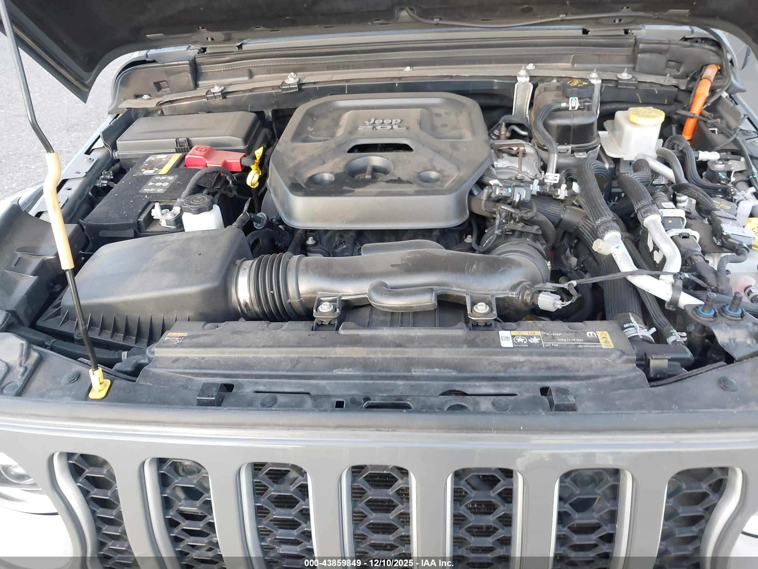 JEEP WRANGLER image 10