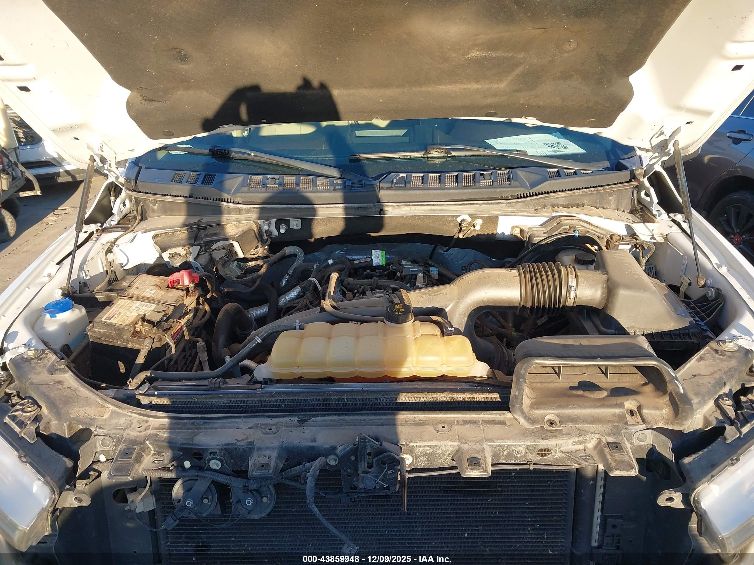 FORD F-150 image 10