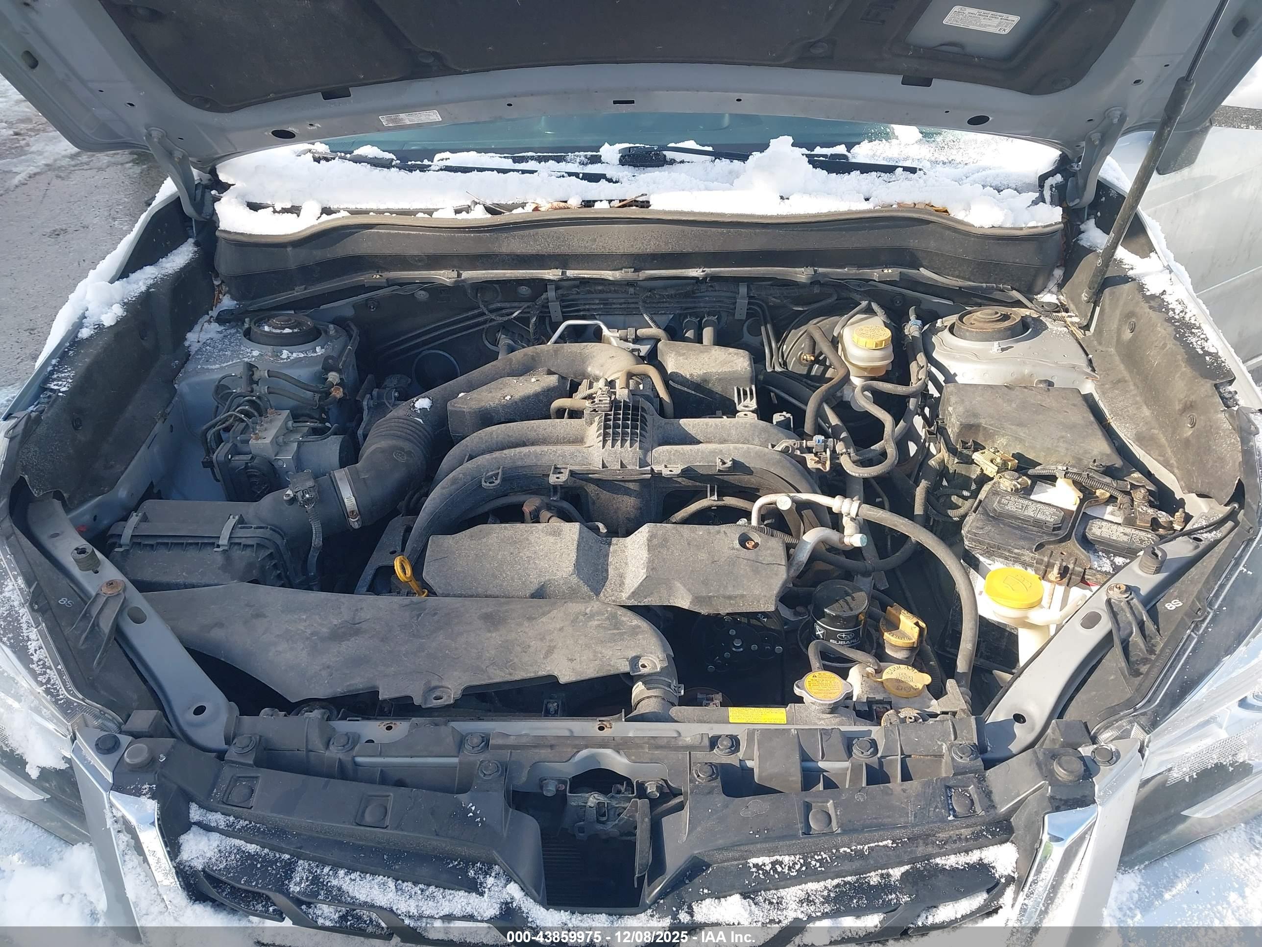 SUBARU FORESTER image 10