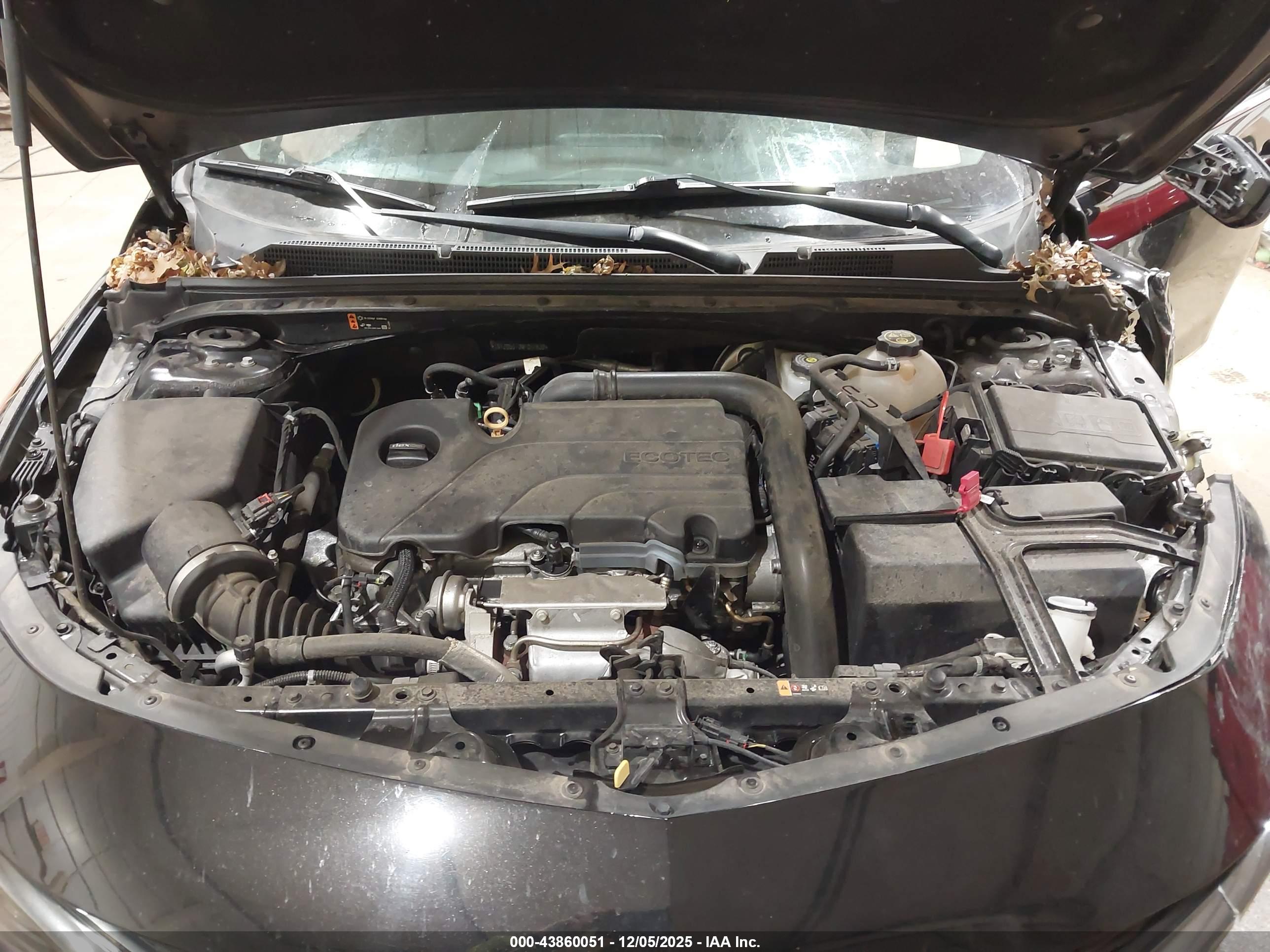 CHEVROLET MALIBU image 10