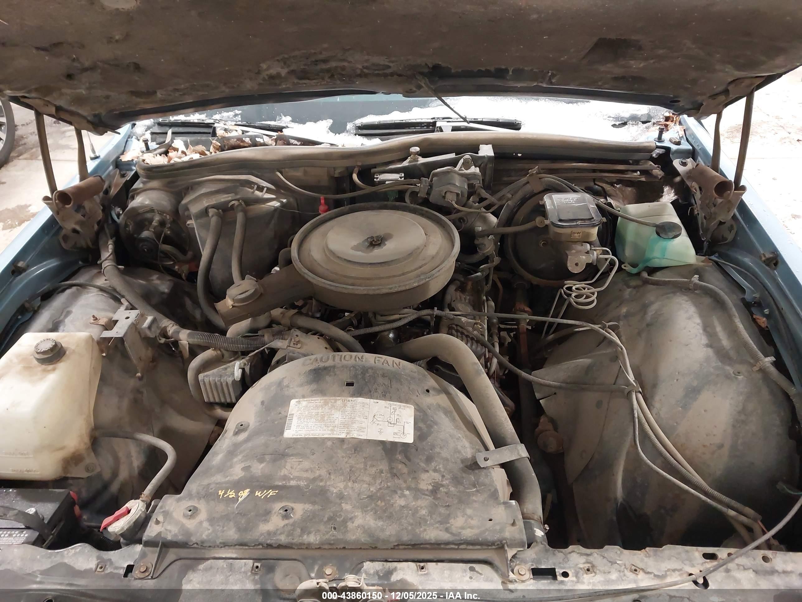 CHEVROLET CAPRICE image 10
