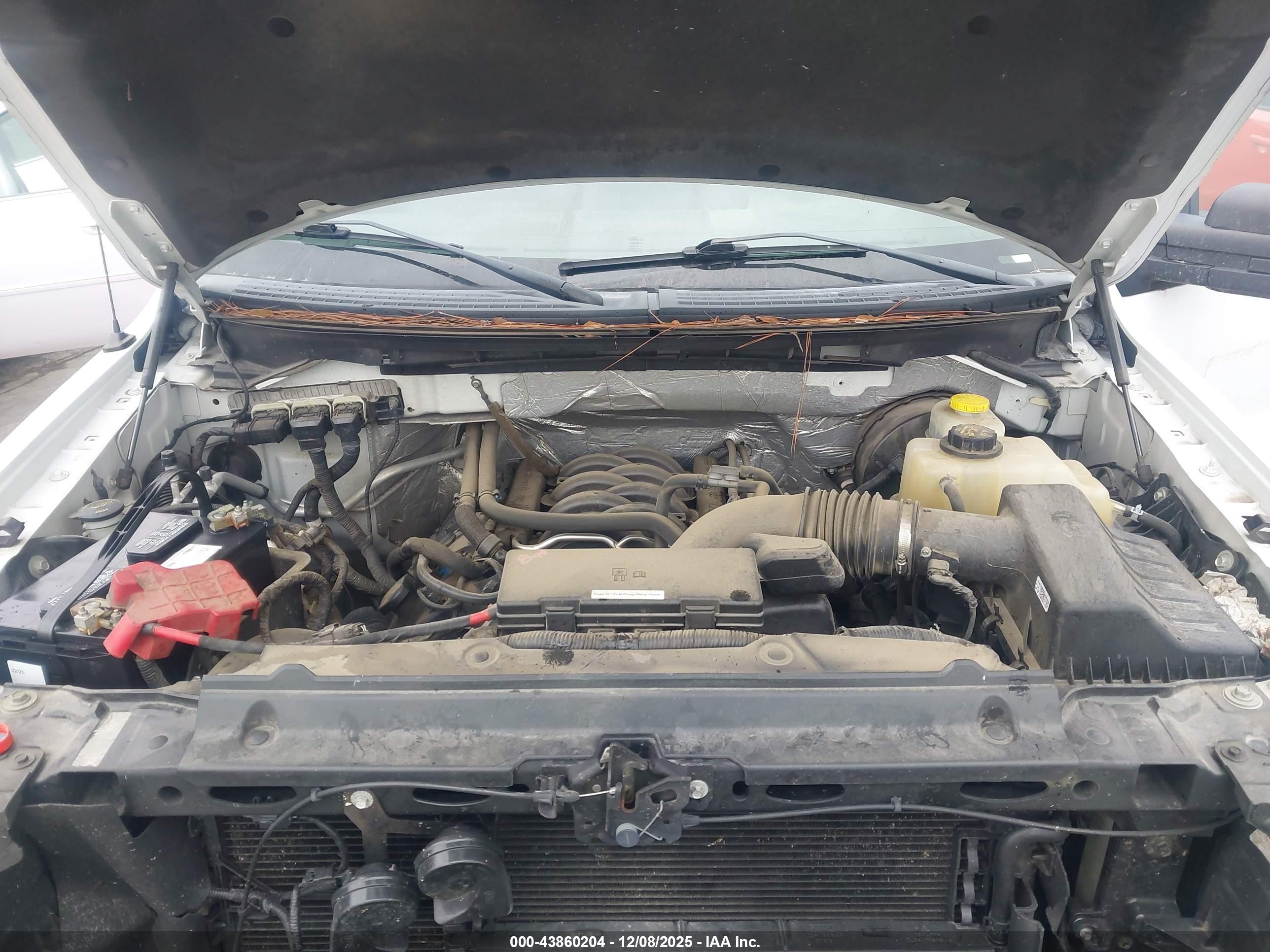 FORD F-150 image 10