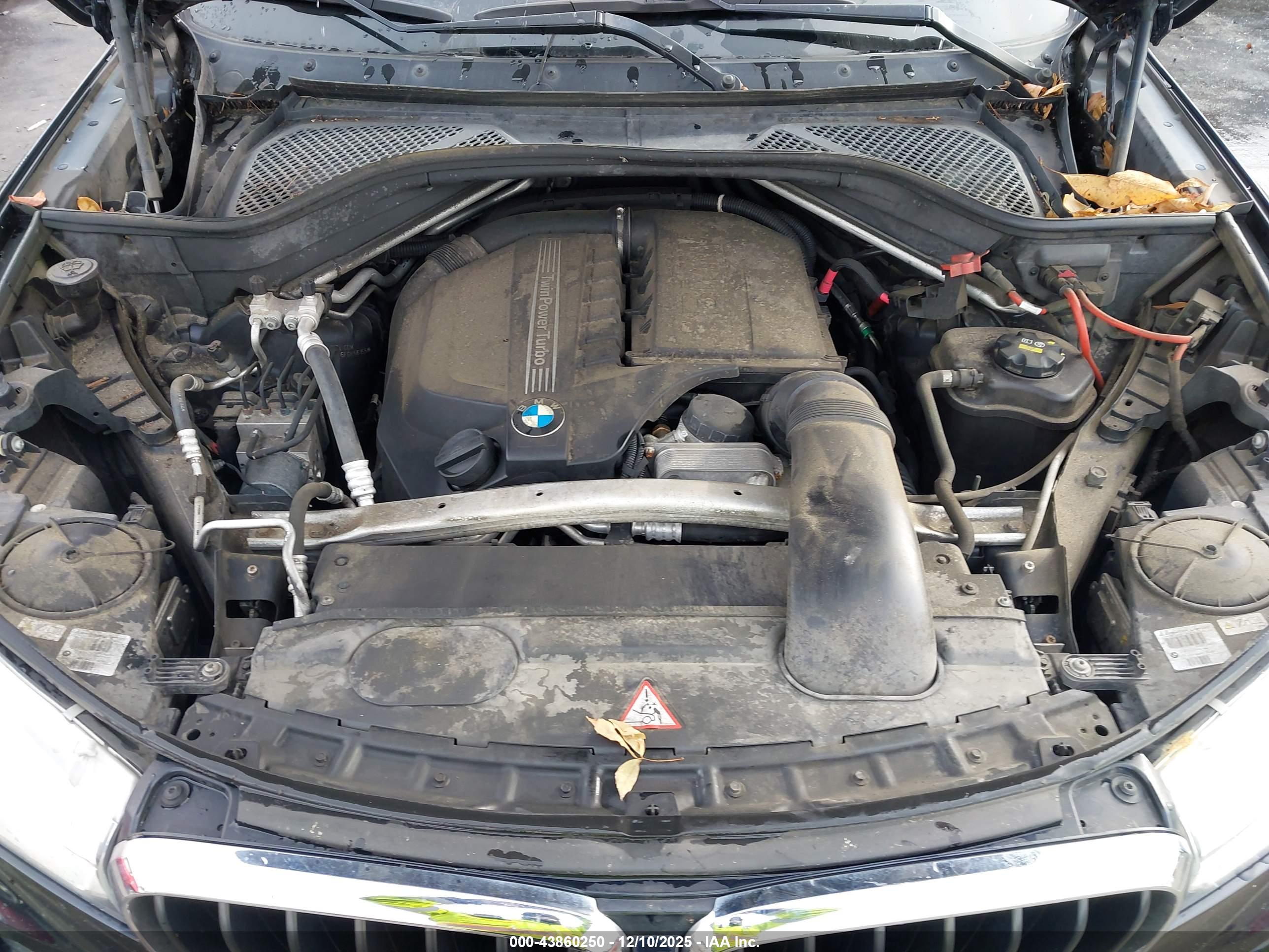 BMW X5 image 10