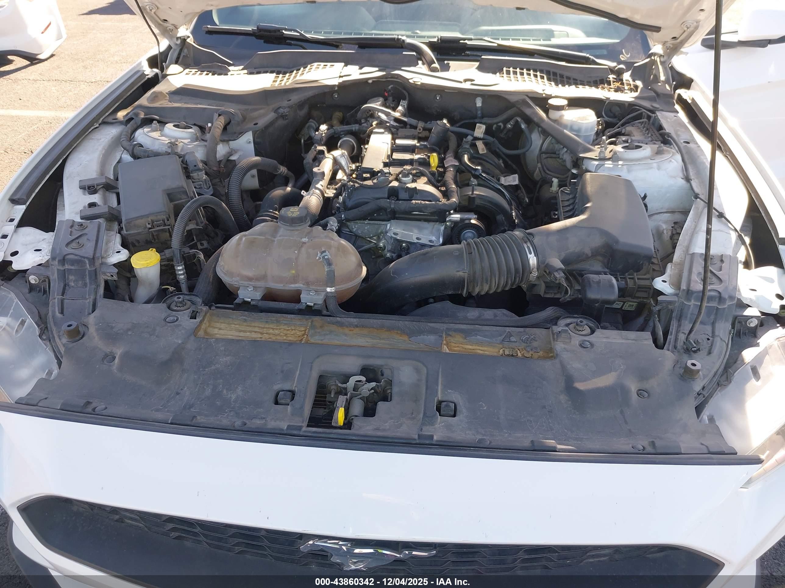 FORD MUSTANG image 10