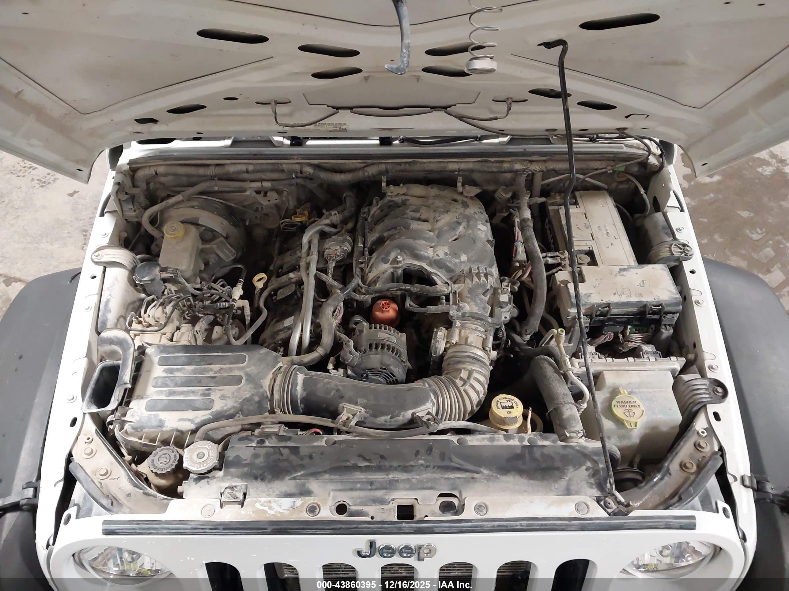 JEEP WRANGLER image 10