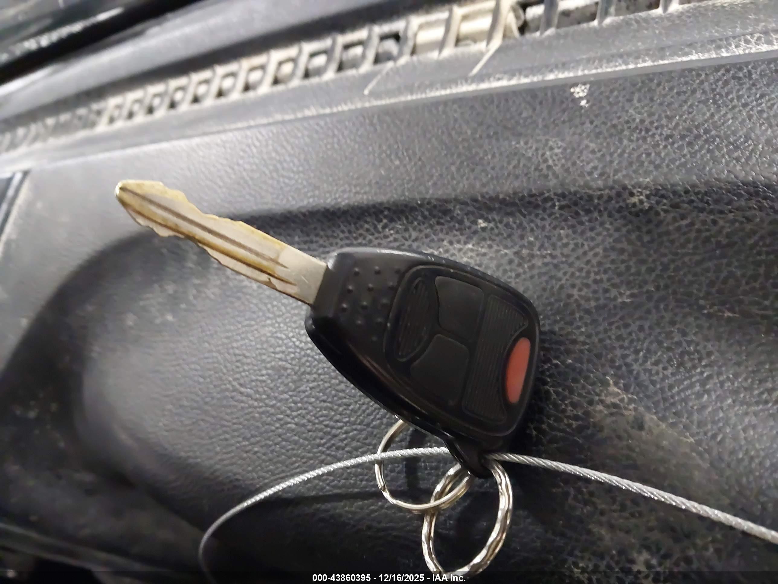 JEEP WRANGLER image 11