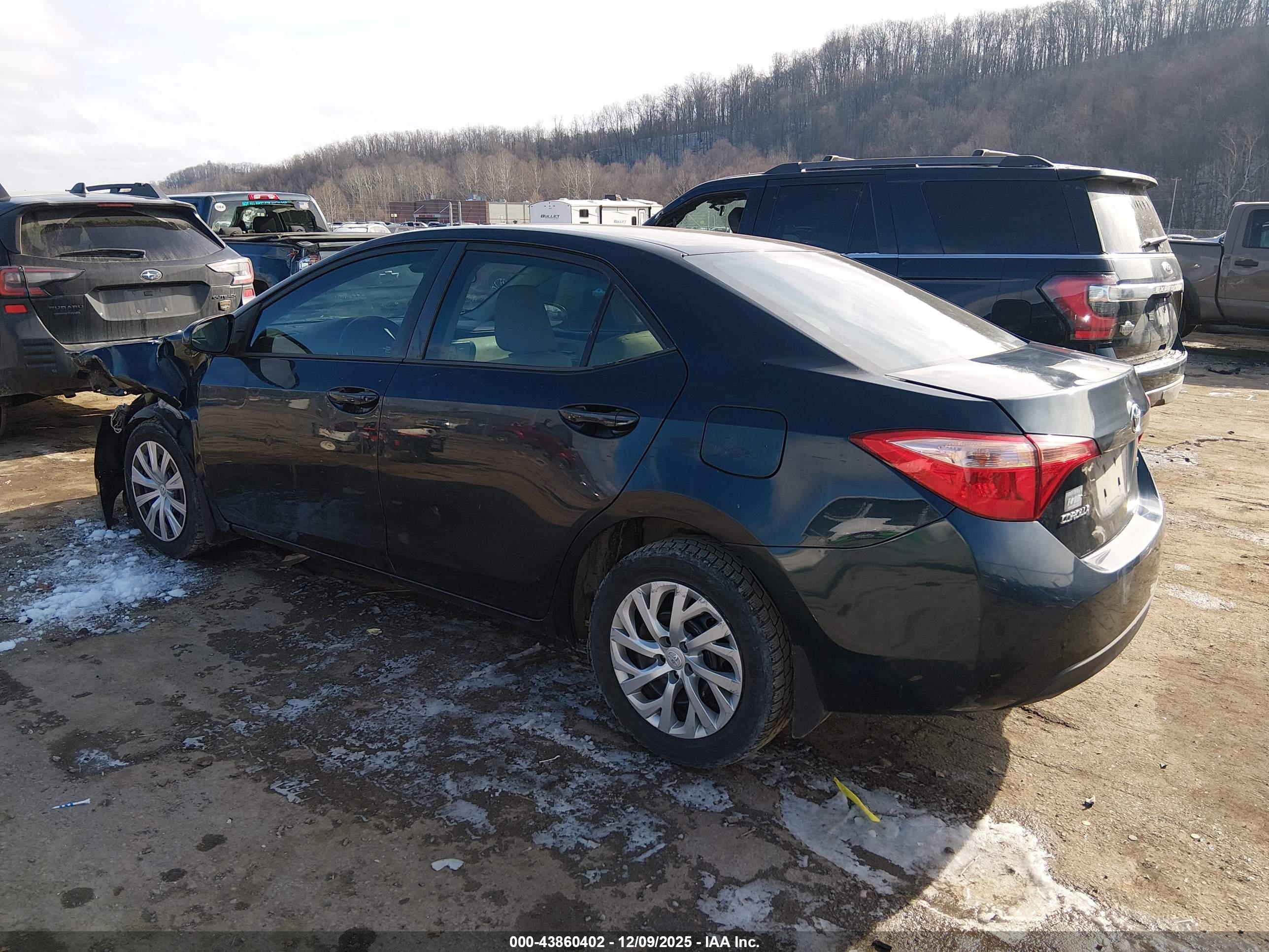 TOYOTA COROLLA image 3