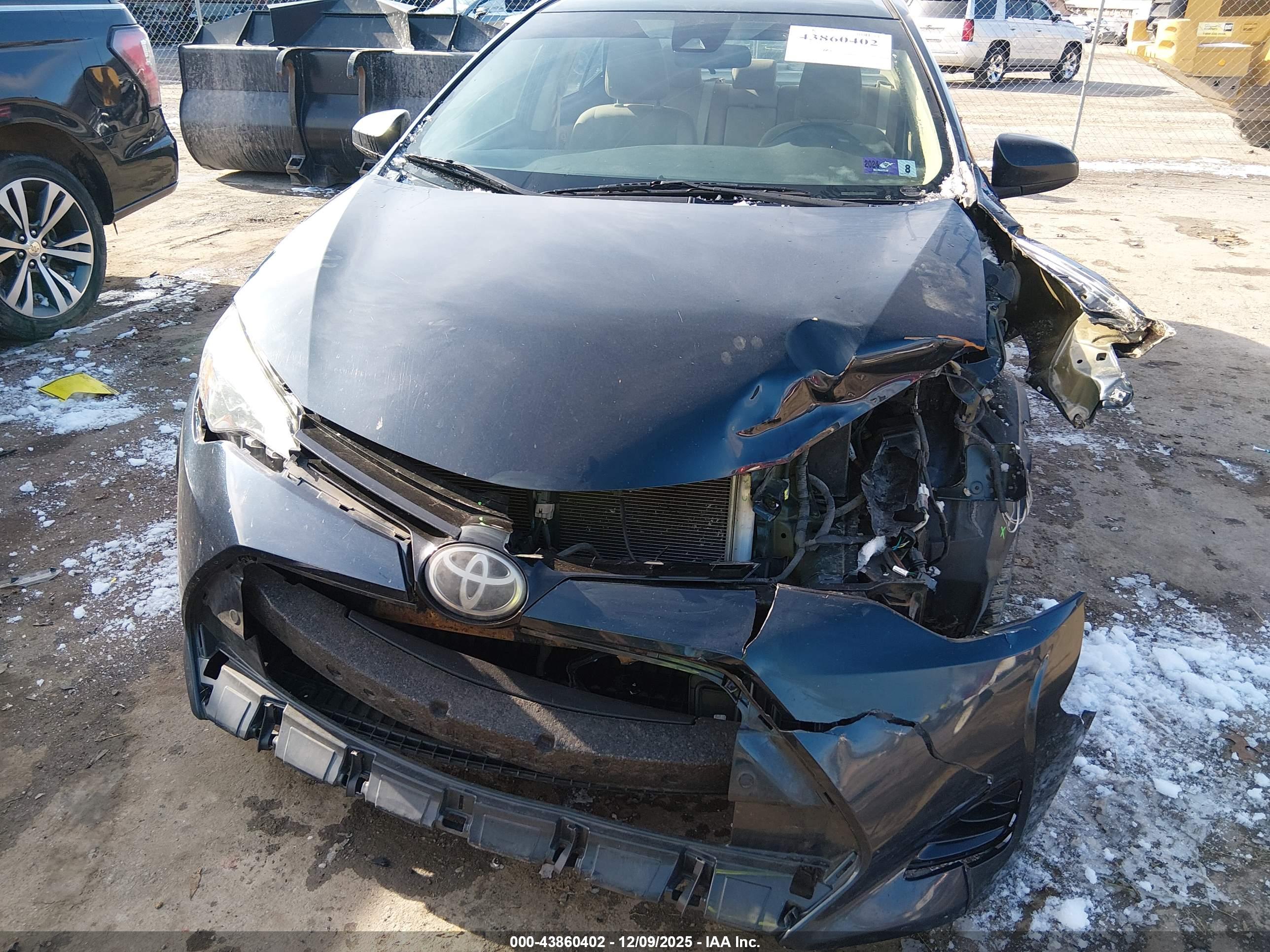 TOYOTA COROLLA image 6