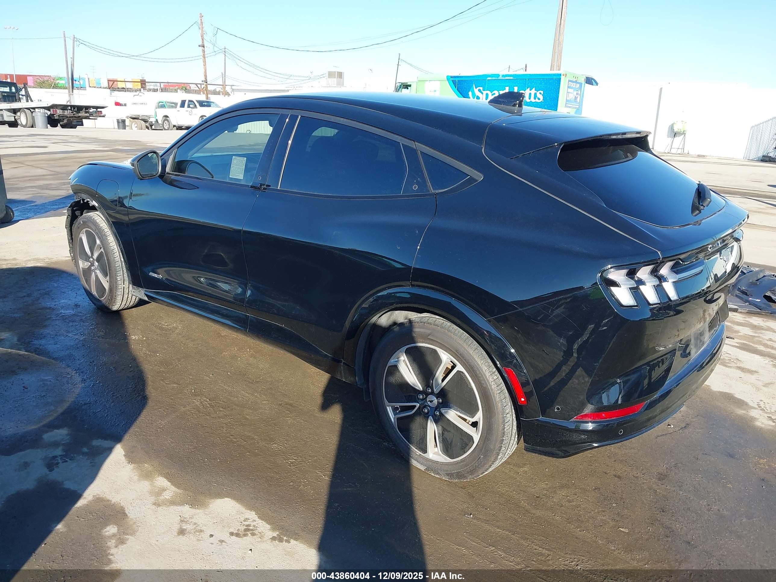 FORD MUSTANG image 3