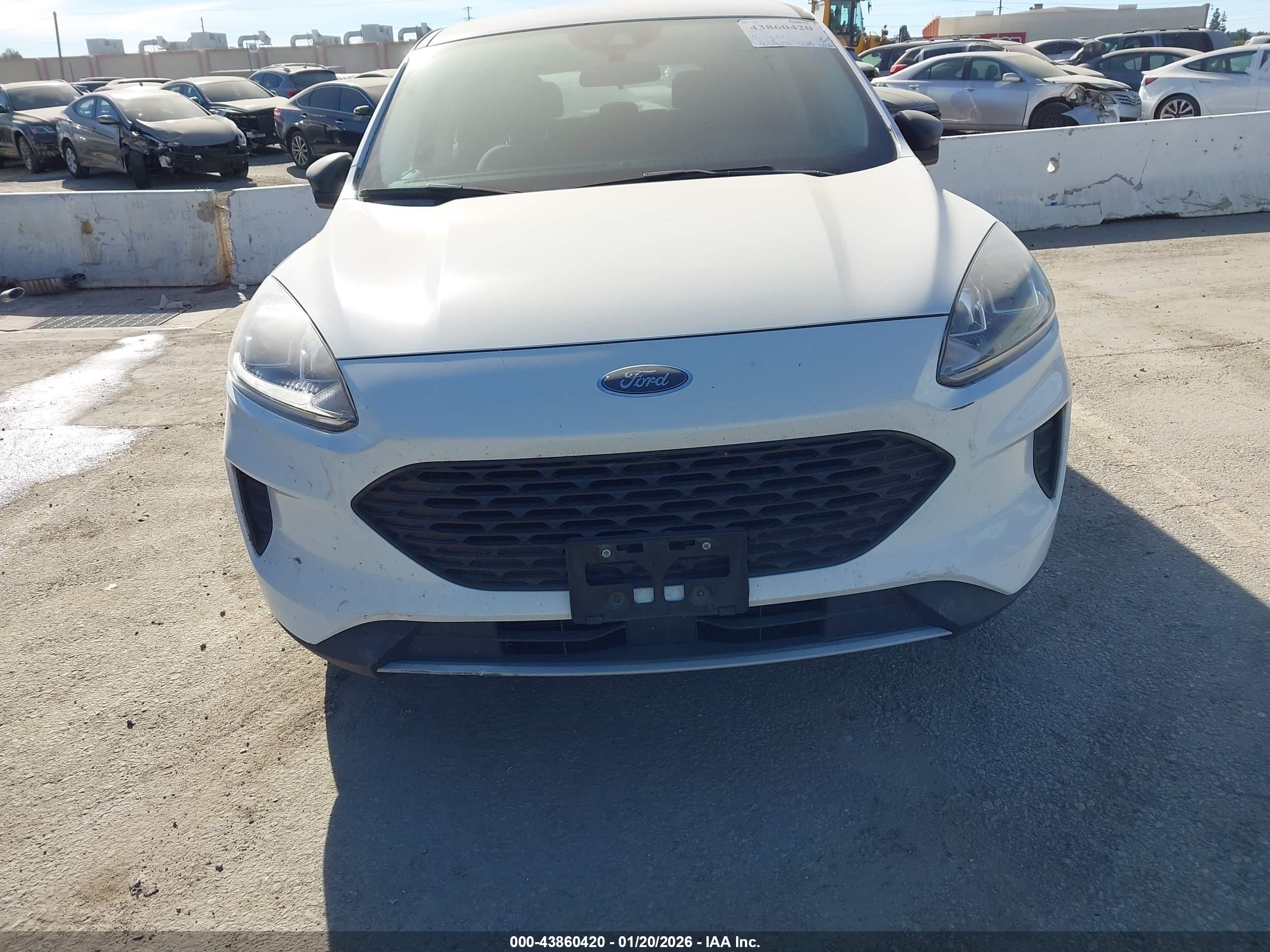 FORD ESCAPE image 6