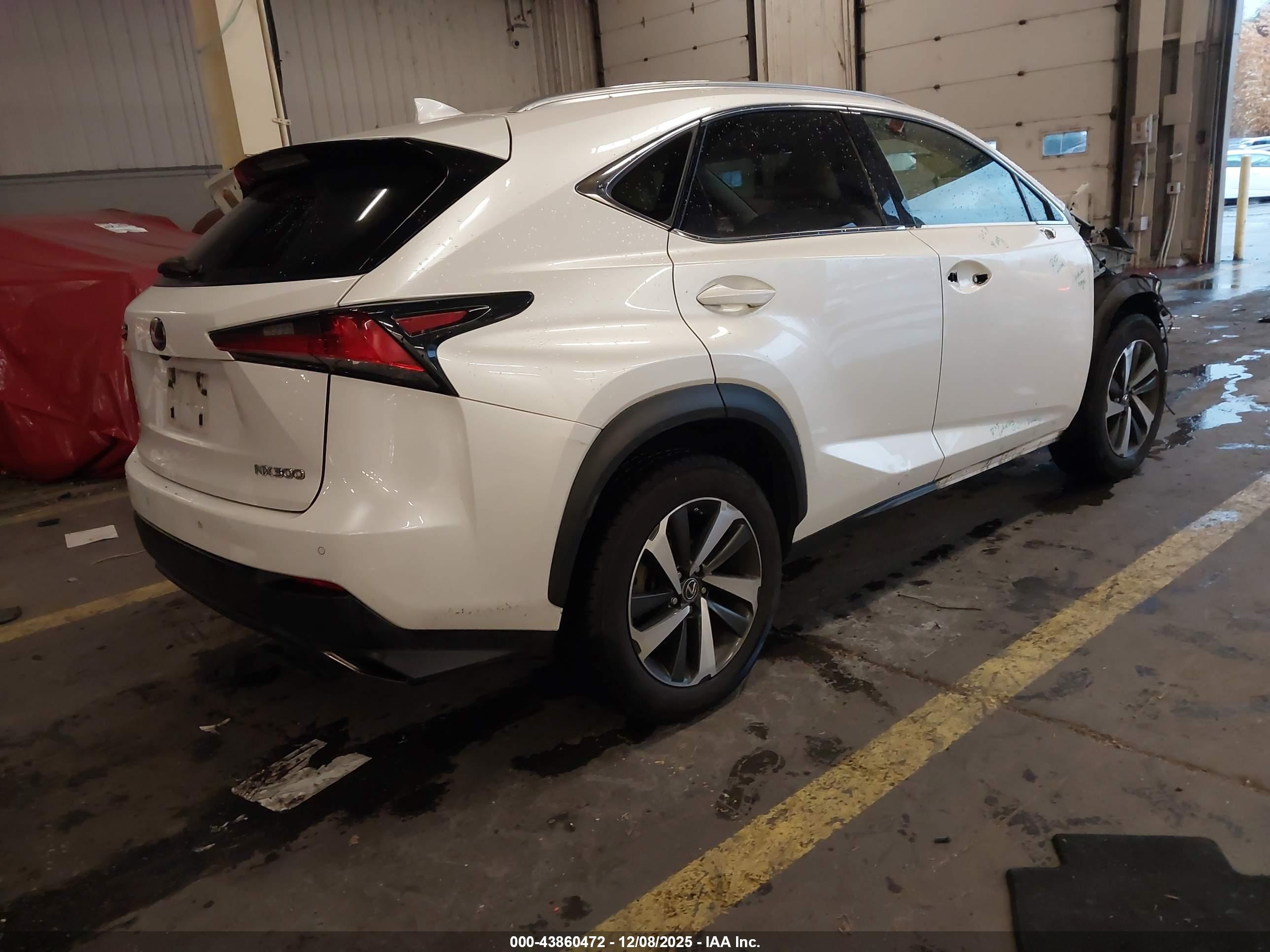 LEXUS NX image 4