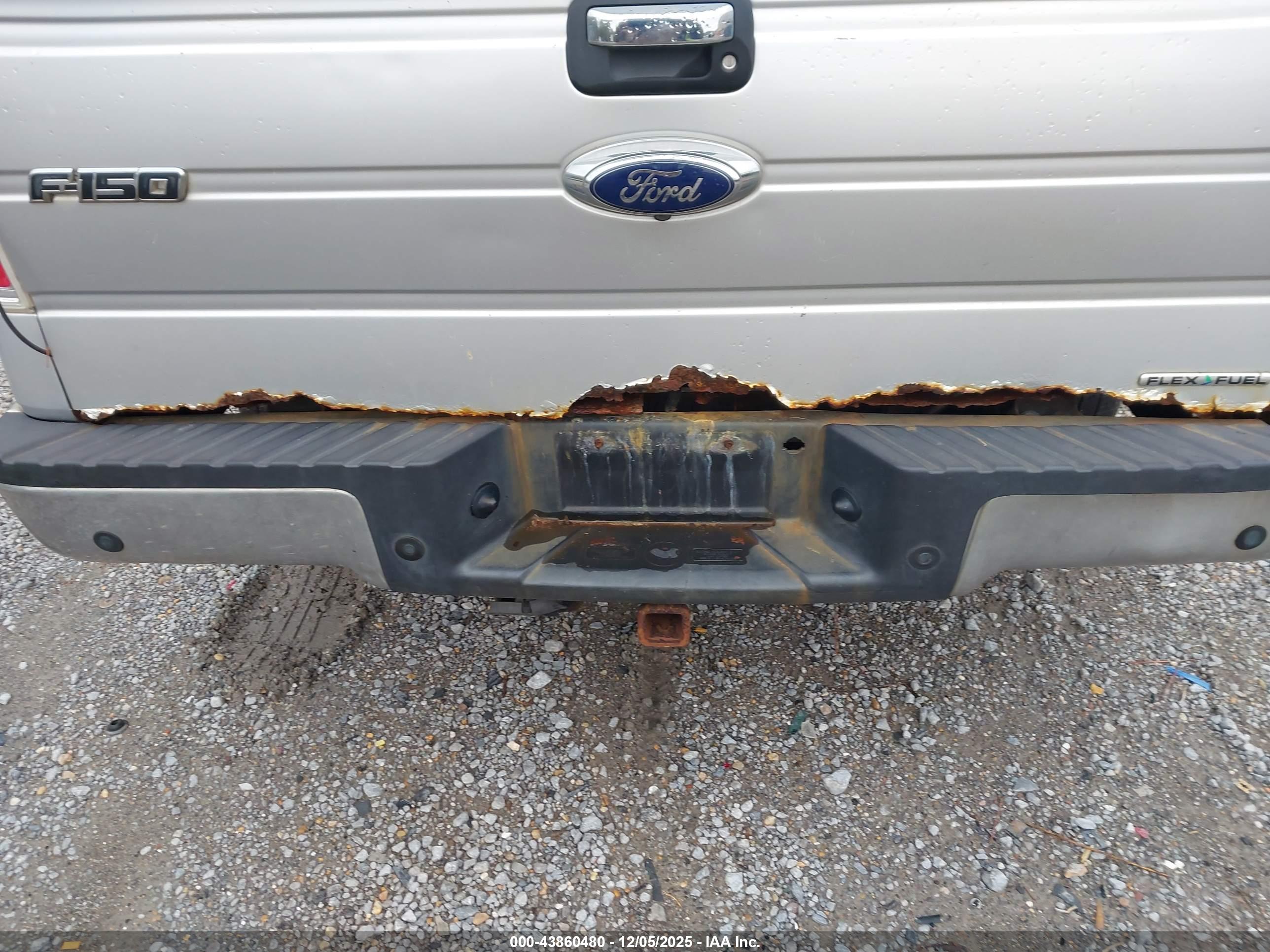 FORD F-150 image 6