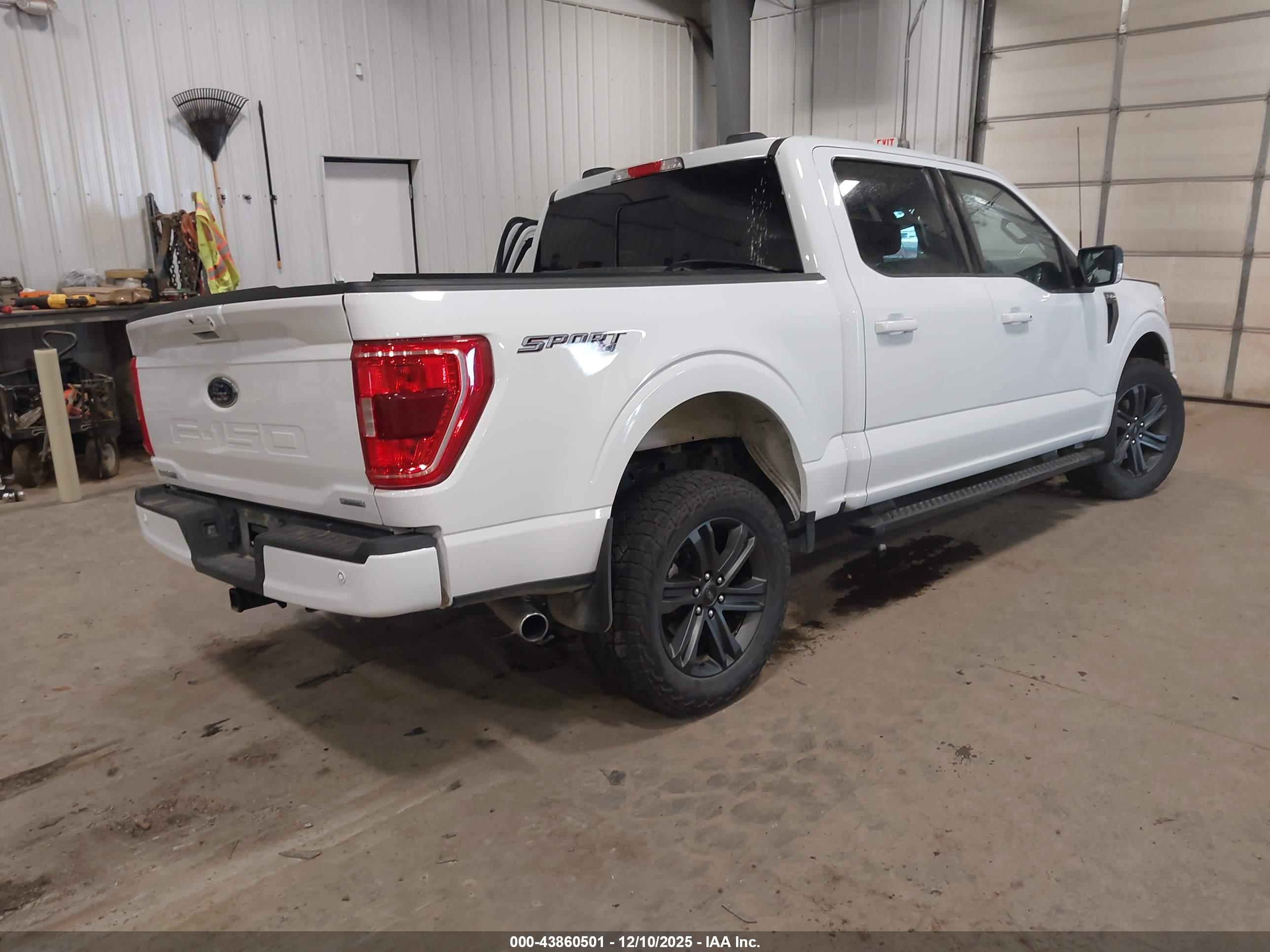 FORD F-150 image 4