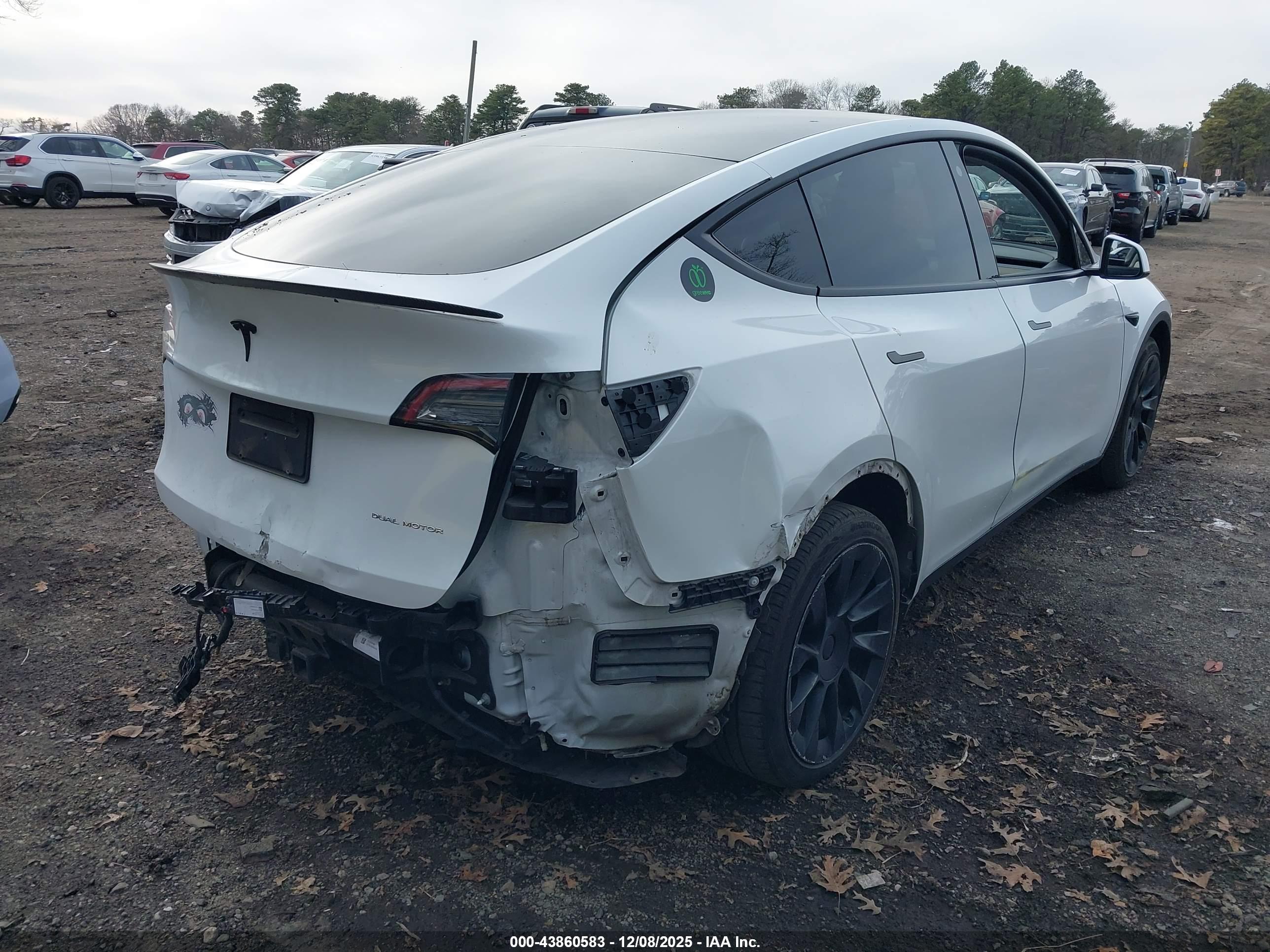 TESLA MODEL image 4