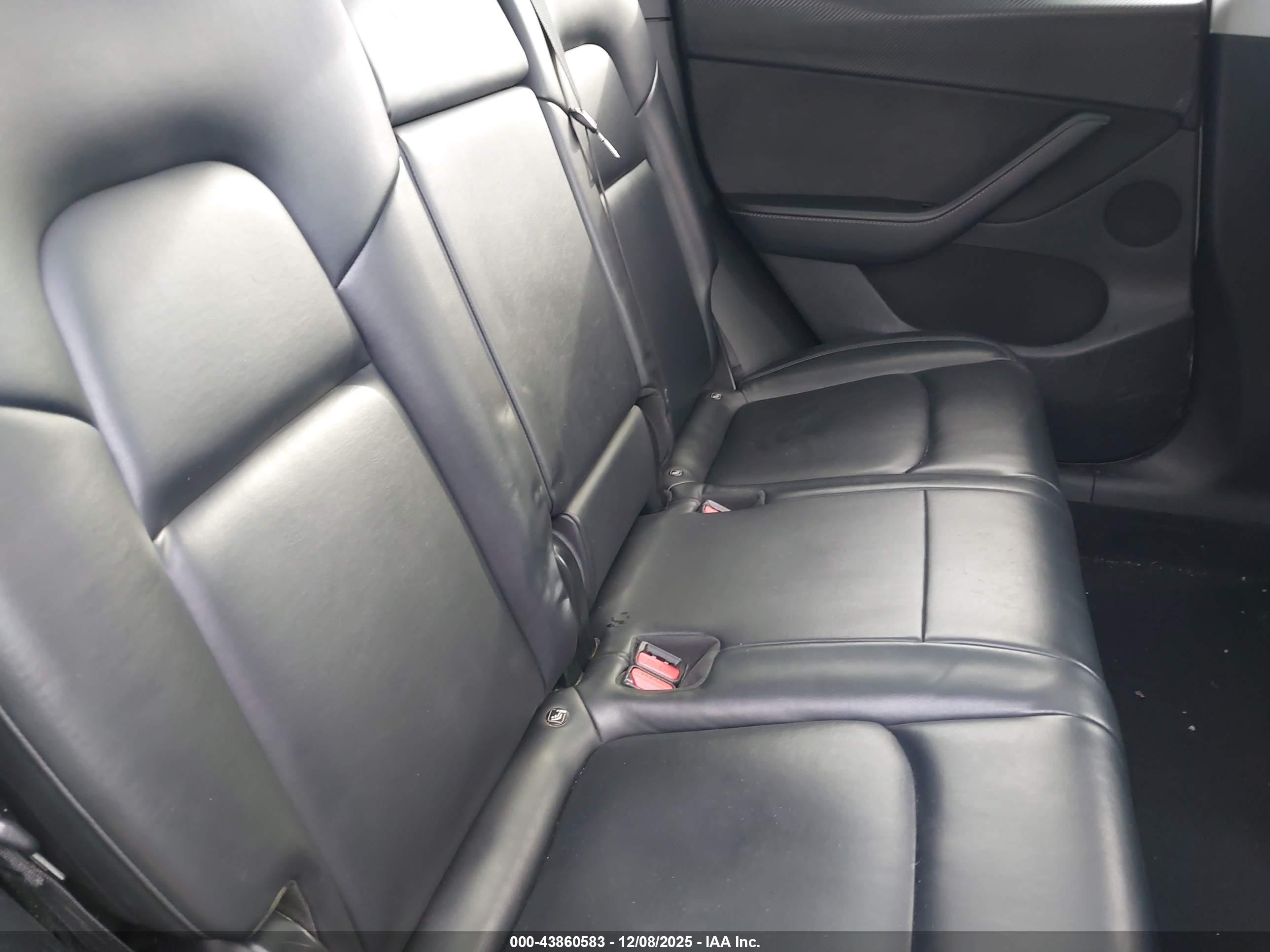 TESLA MODEL image 8