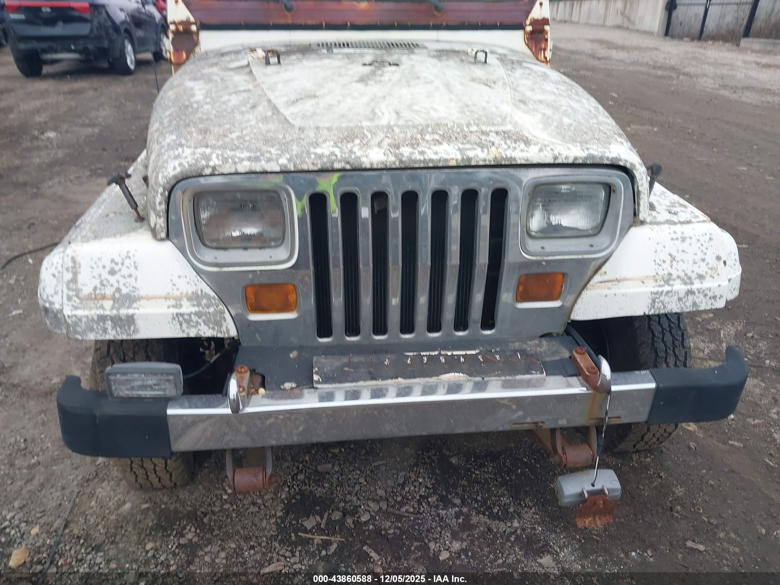JEEP WRANGLER image 6