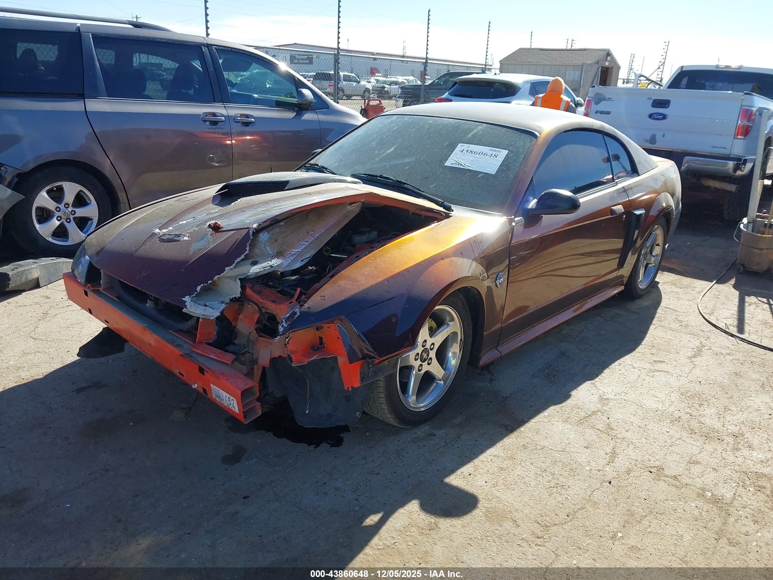 FORD MUSTANG image 2