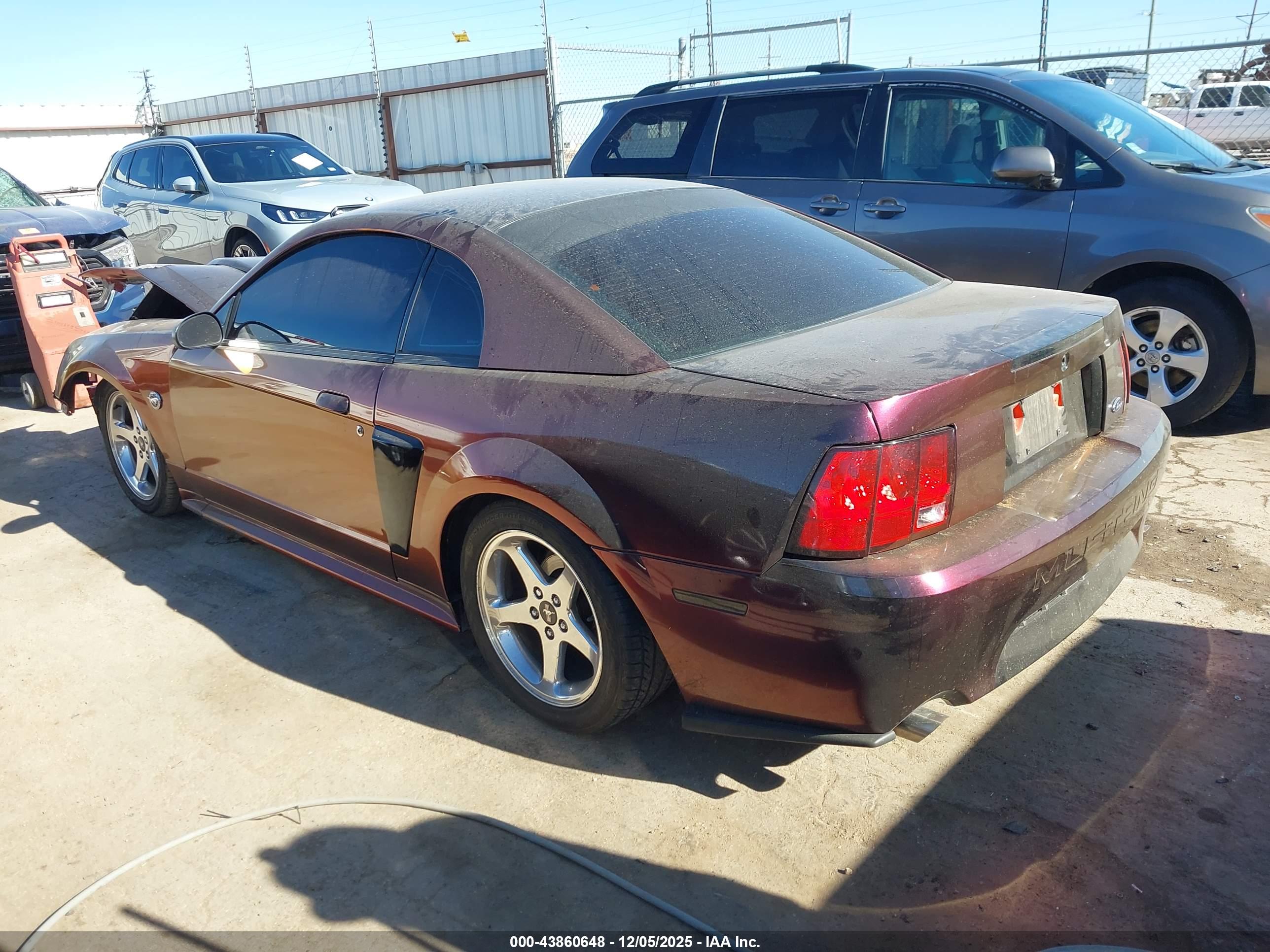 FORD MUSTANG image 3