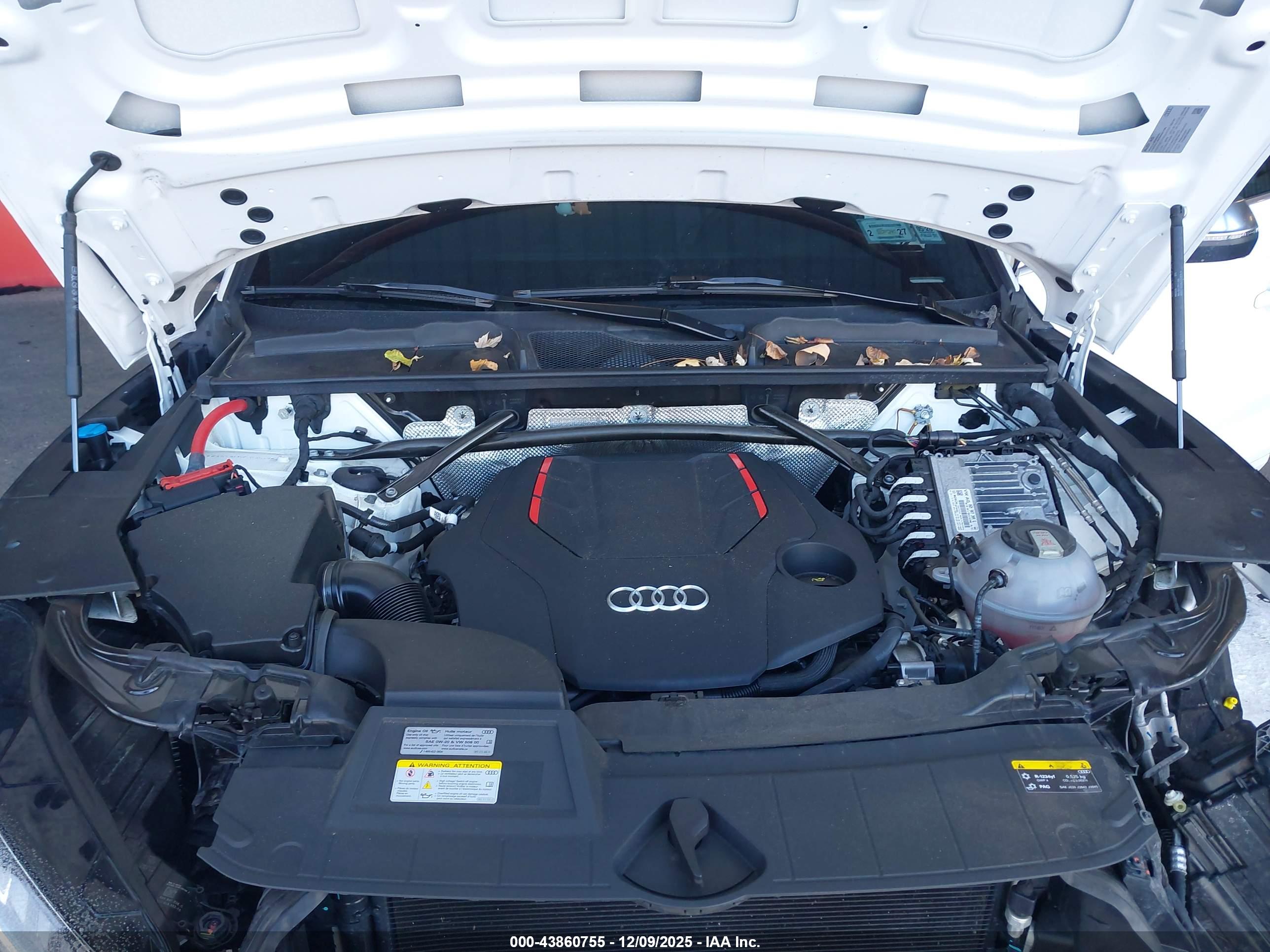 AUDI SQ5 image 10