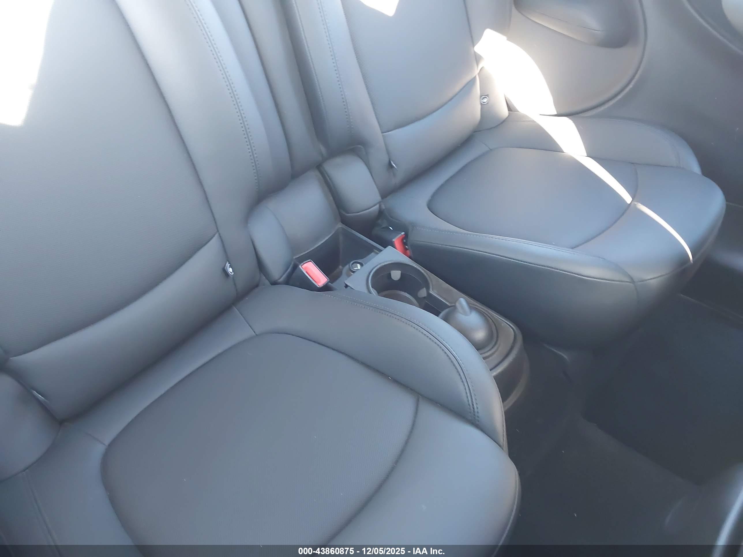 MINI PACEMAN image 8