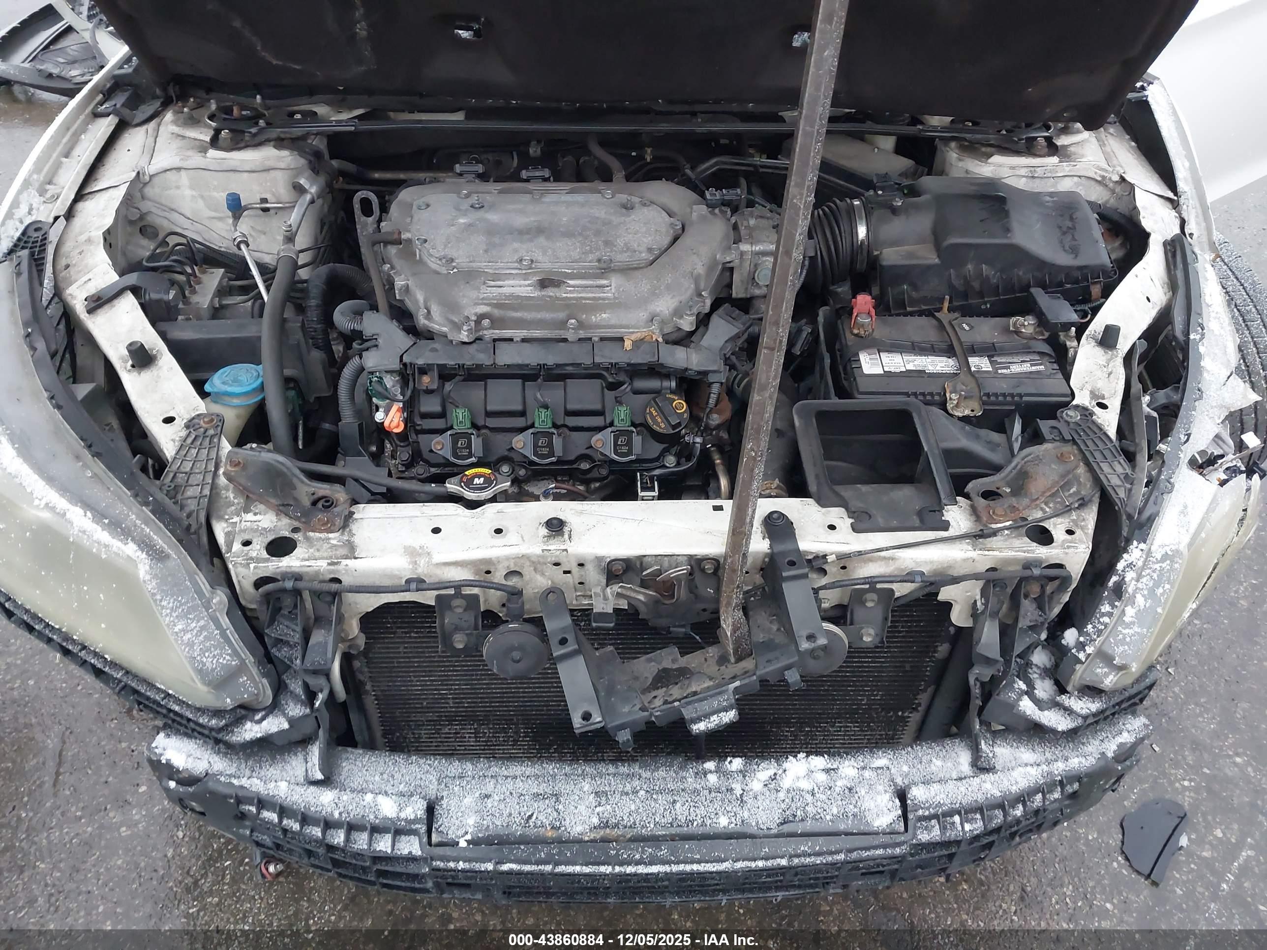 HONDA ACCORD image 10