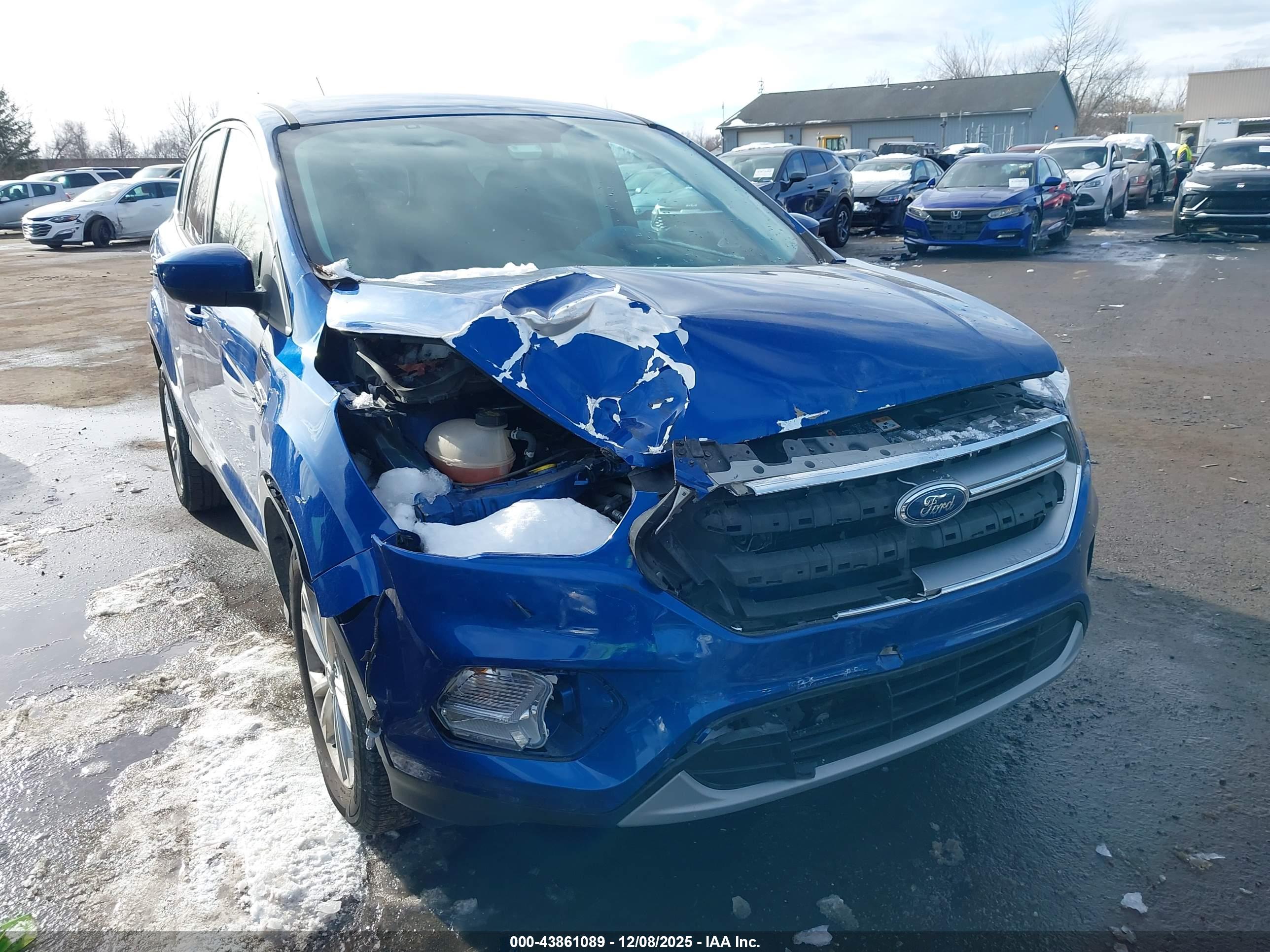 FORD ESCAPE image 6
