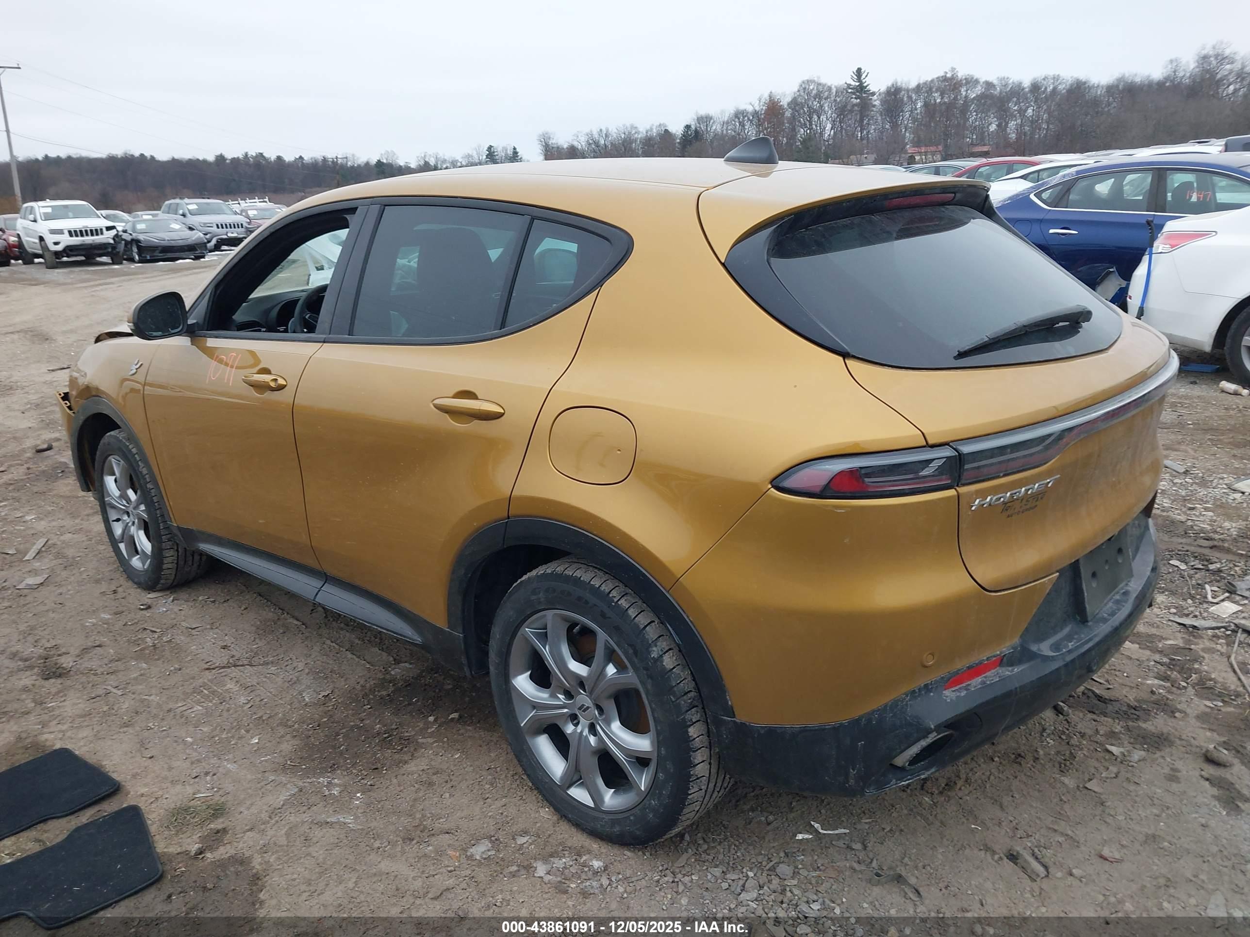 DODGE HORNET image 3